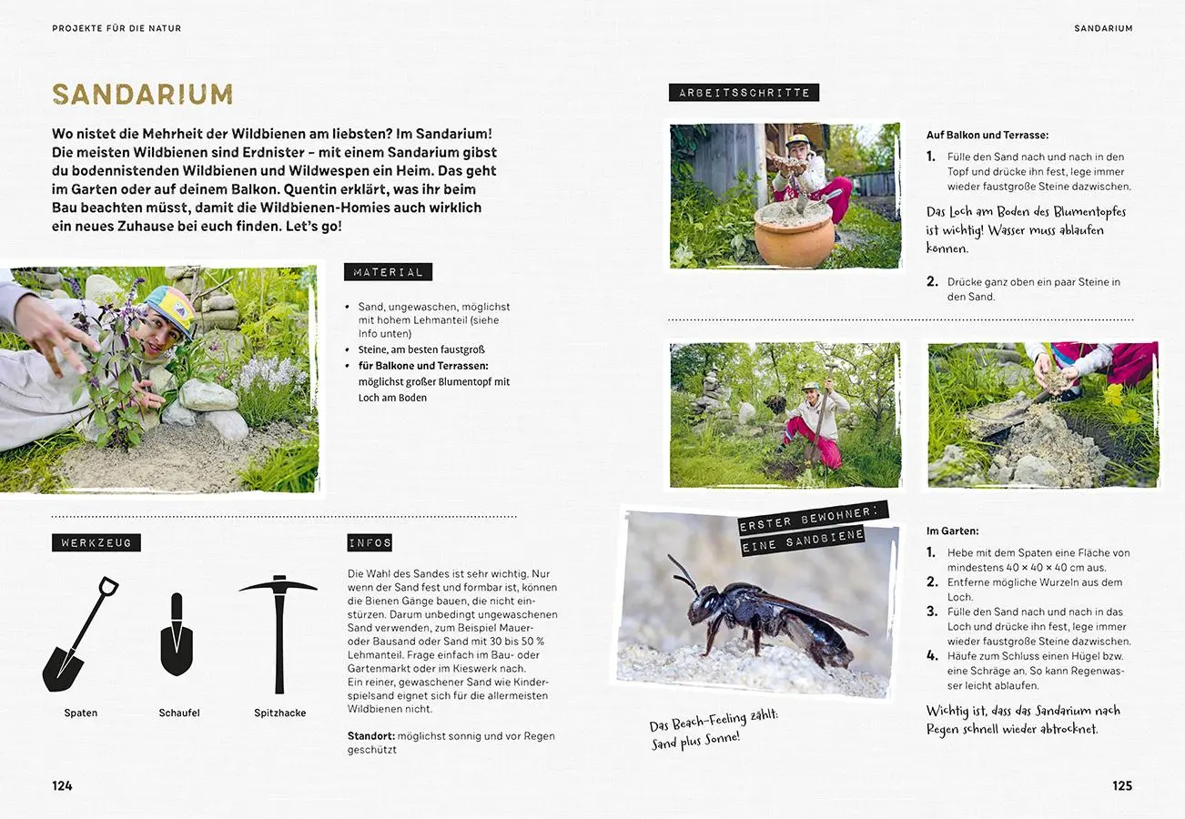 Bild: 9783818621476 | Quentins Welt der Bienen. #meetthebeefamily - Beesteez | Buch | 144 S.