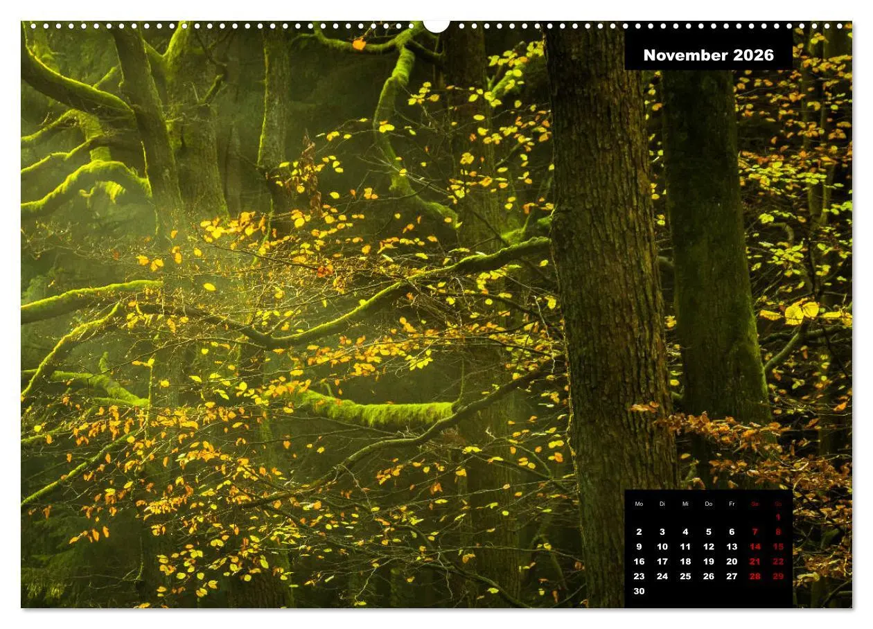 Bild: 9783457711576 | Malerisches Sauerland (hochwertiger Premium Wandkalender 2026 DIN...