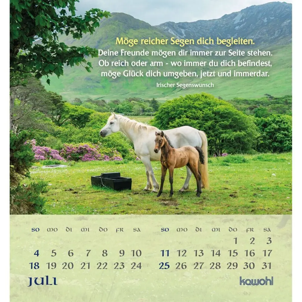 Bild: 9783754881576 | Tiefen Frieden wünsche ich dir 2027 | Kalender | Spiralbindung | 14 S.