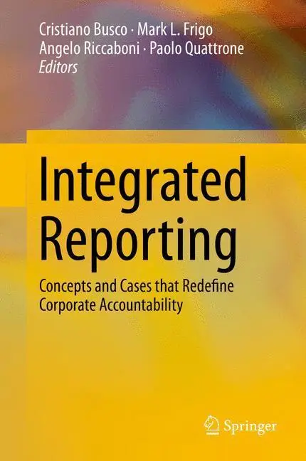 Rückseite: 9783319021676 | Integrated Reporting | Cristiano Busco (u. a.) | Buch | xiv | Englisch