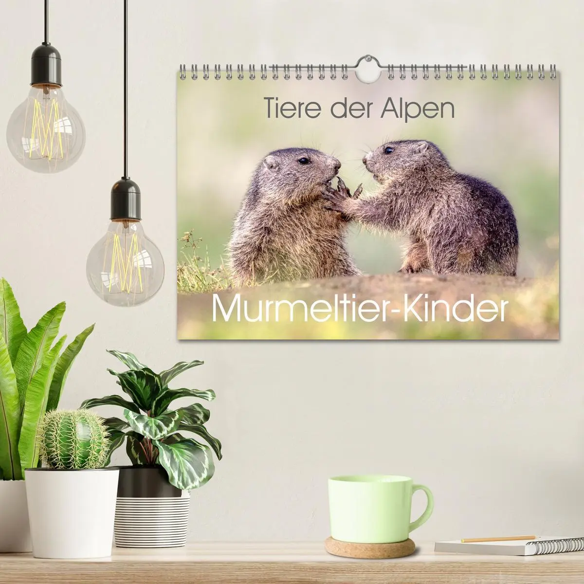 Bild: 9783457321676 | Tiere der Alpen - Murmeltier-Kinder (Wandkalender 2026 DIN A4...