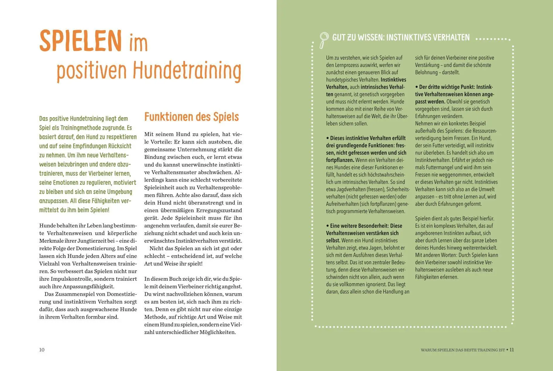 Bild: 9783758901676 | Spielerische Hundeerziehung | Chloé Fesch | Buch | 112 S. | Deutsch