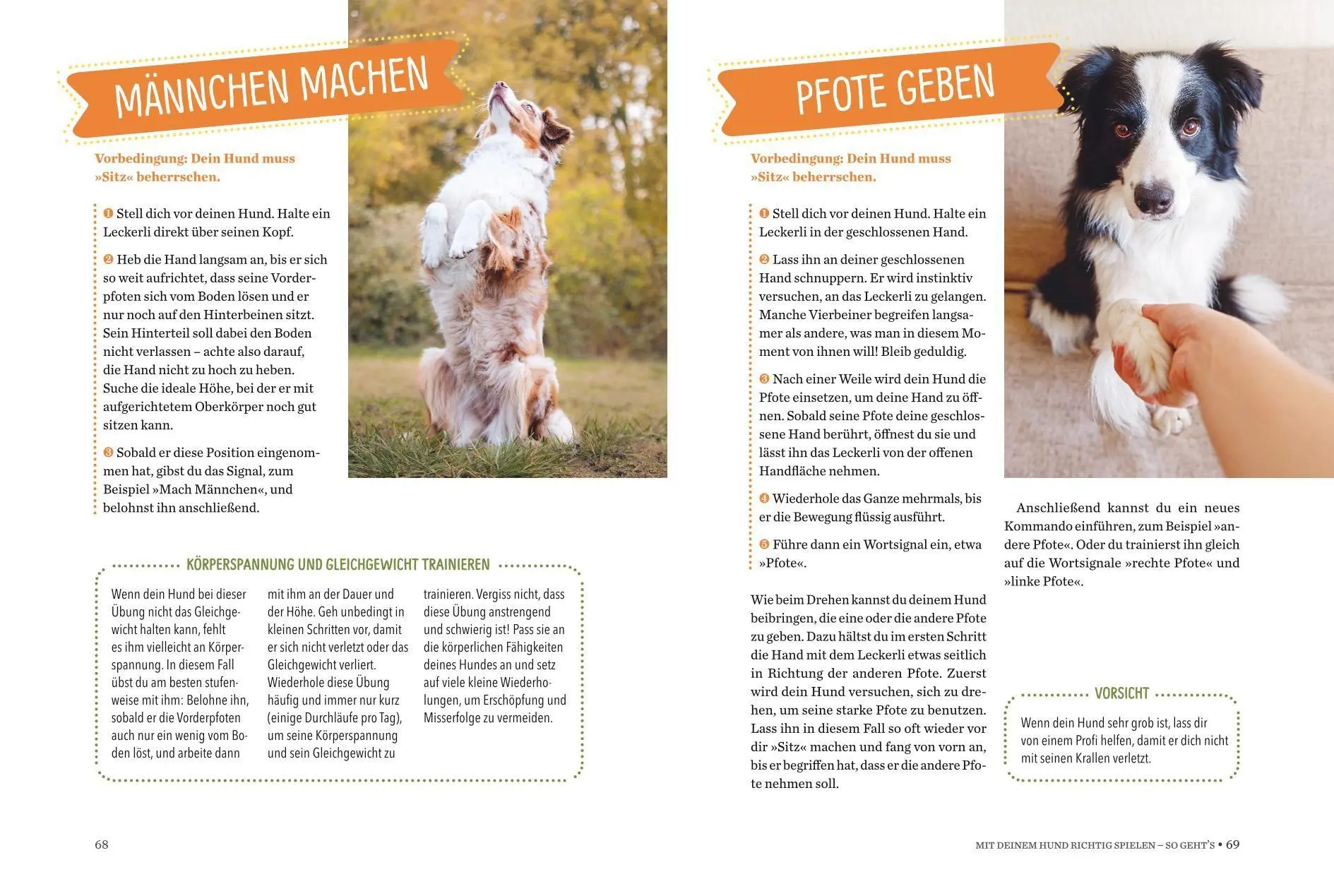 Bild: 9783758901676 | Spielerische Hundeerziehung | Chloé Fesch | Buch | 112 S. | Deutsch