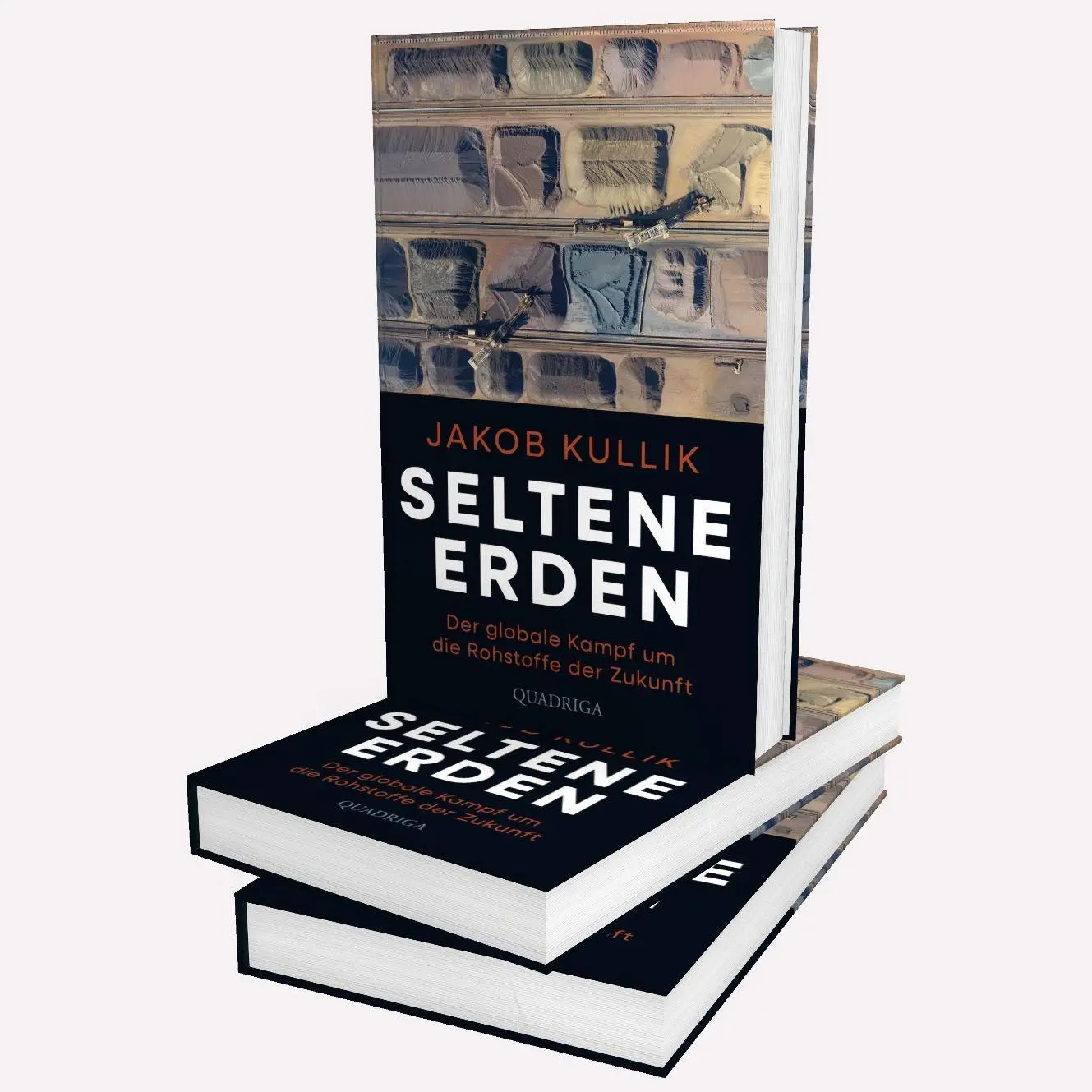 Bild: 9783869951676 | Seltene Erden | Der globale Kampf um die Rohstoffe der Zukunft | Buch