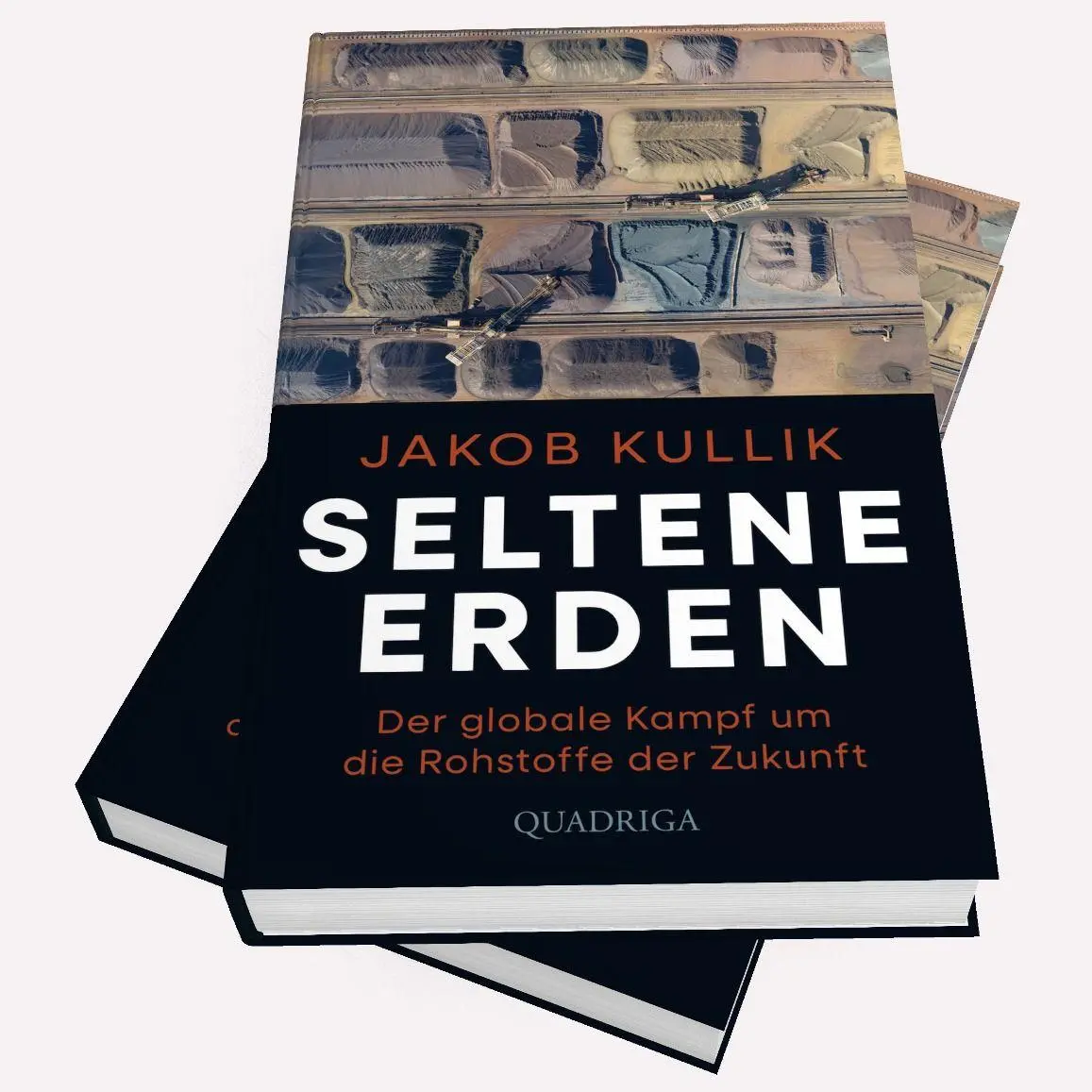 Bild: 9783869951676 | Seltene Erden | Der globale Kampf um die Rohstoffe der Zukunft | Buch