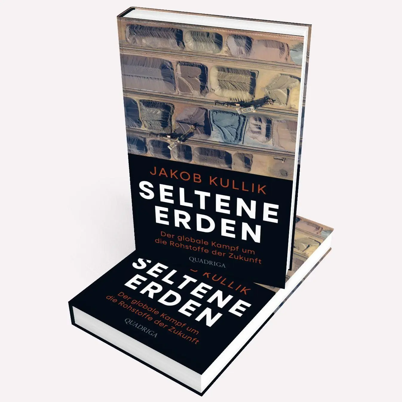 Bild: 9783869951676 | Seltene Erden | Der globale Kampf um die Rohstoffe der Zukunft | Buch