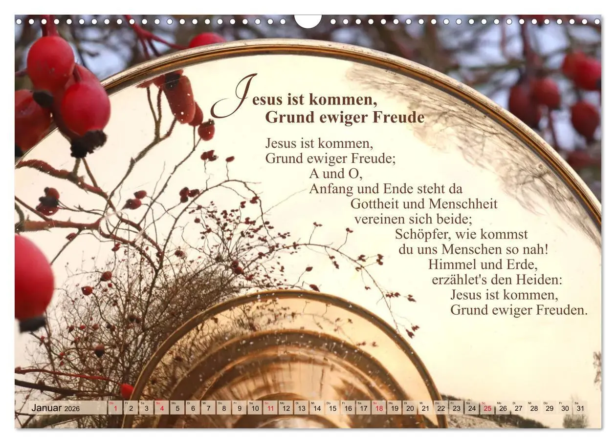 Bild: 9783457791776 | Lieder für Blechbläser (Wandkalender 2026 DIN A3 quer), CALVENDO...