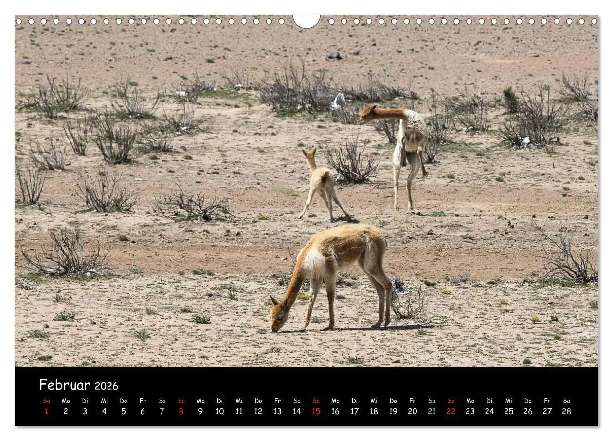 Bild: 9783516021776 | Traumziel Peru (Wandkalender 2026 DIN A3 quer), CALVENDO...