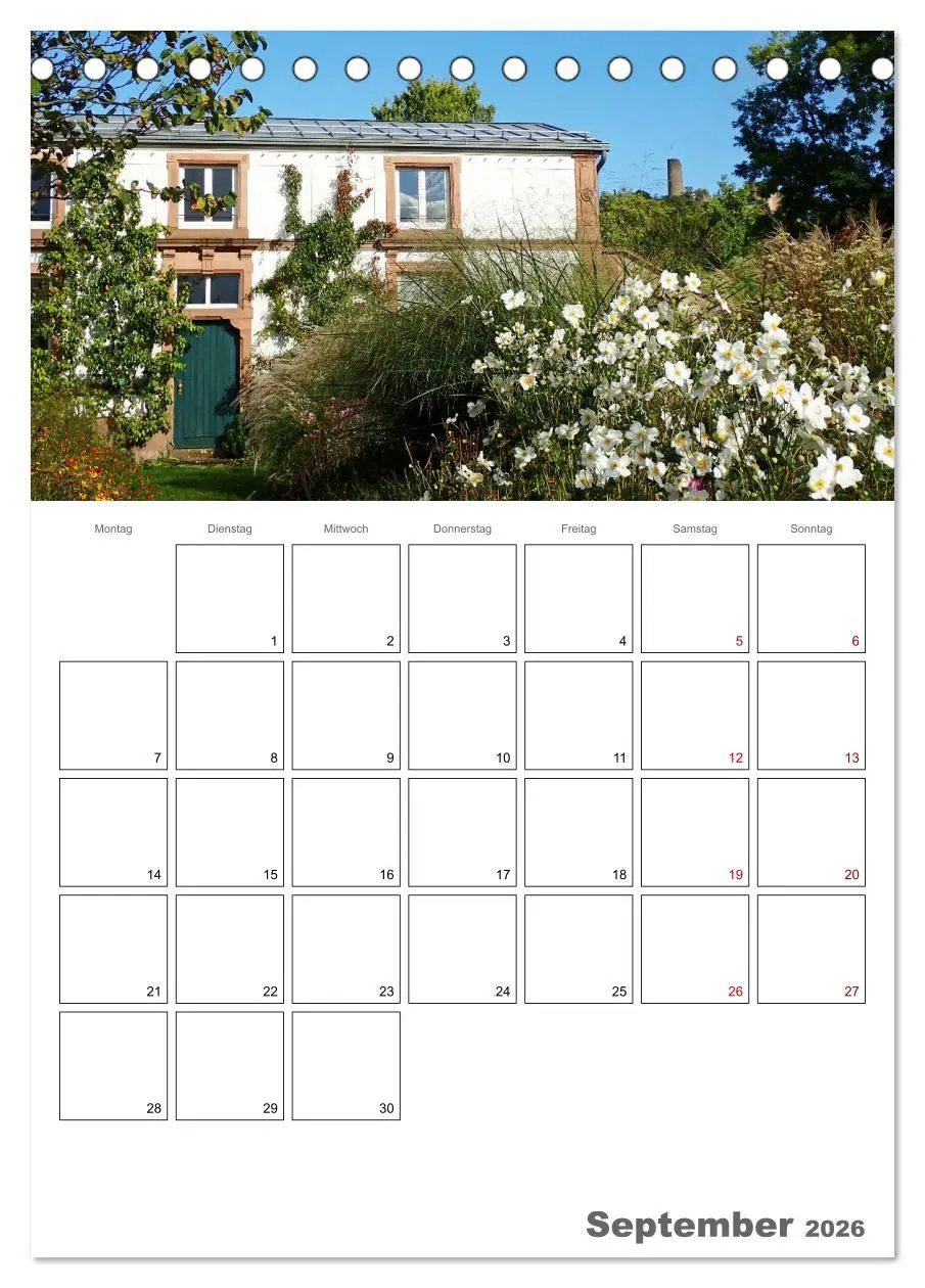 Bild: 9783516401776 | Weinheim an der Bergstraße Planer (Tischkalender 2026 DIN A5 hoch),...