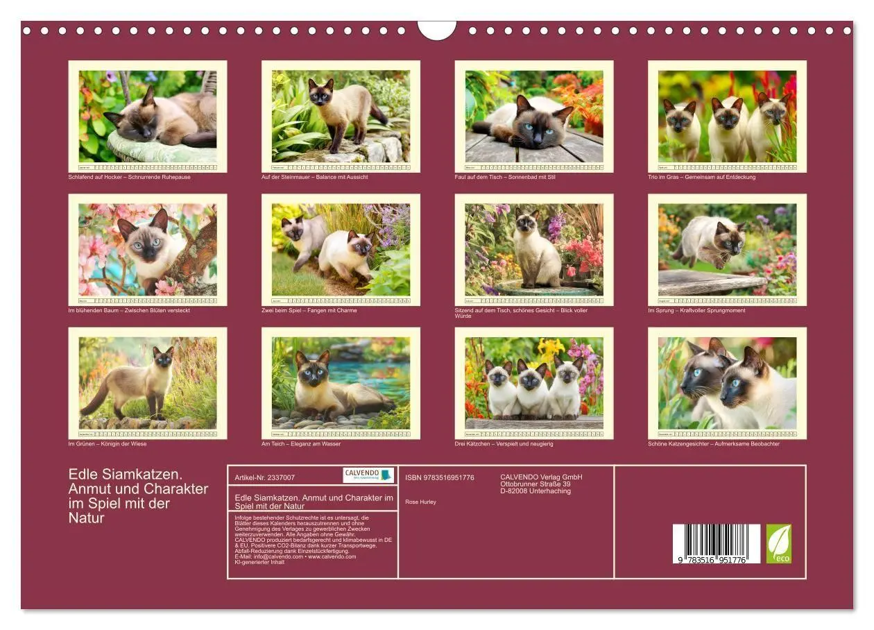 Bild: 9783516951776 | Edle Siamkatzen. Anmut und Charakter im Spiel mit der Natur...