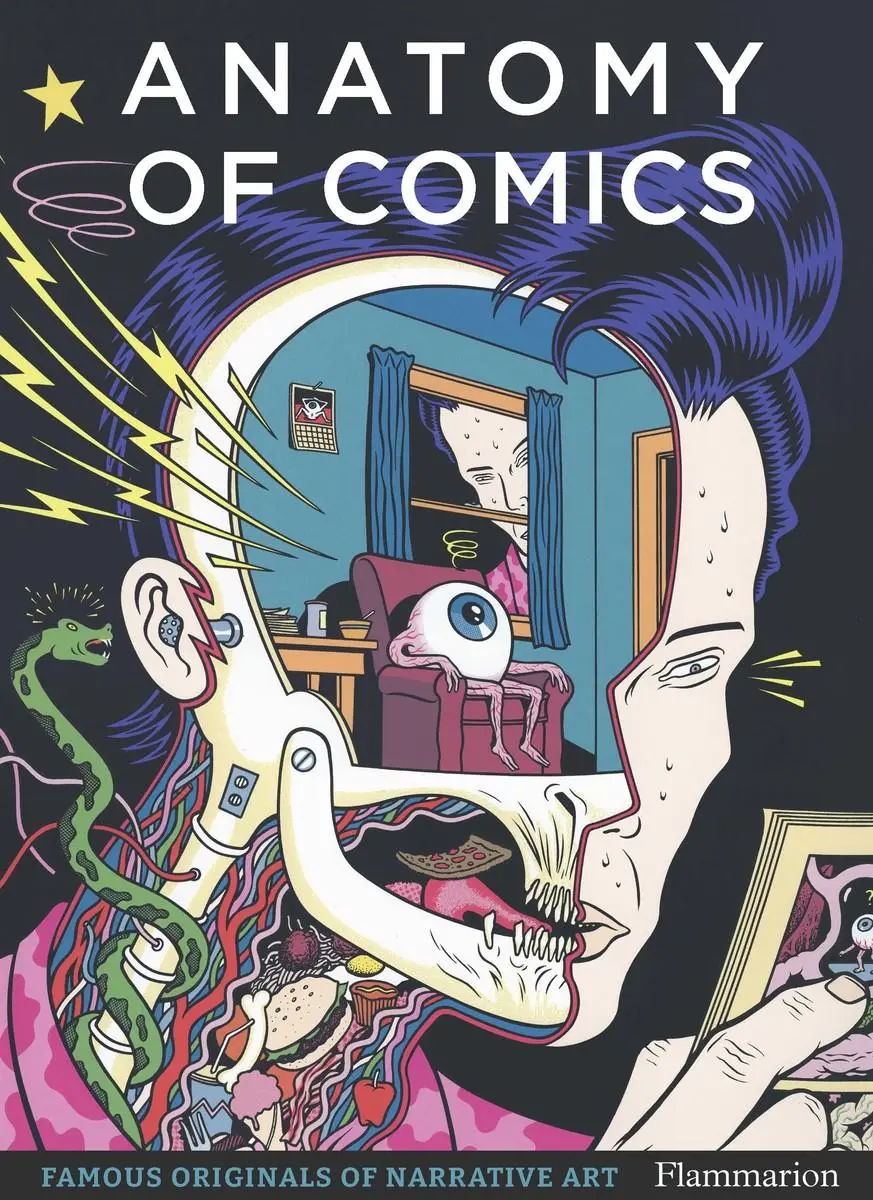 Cover: 9782080281876 | Anatomy of Comics | Famous Originals of Narrative Art | Macdonald