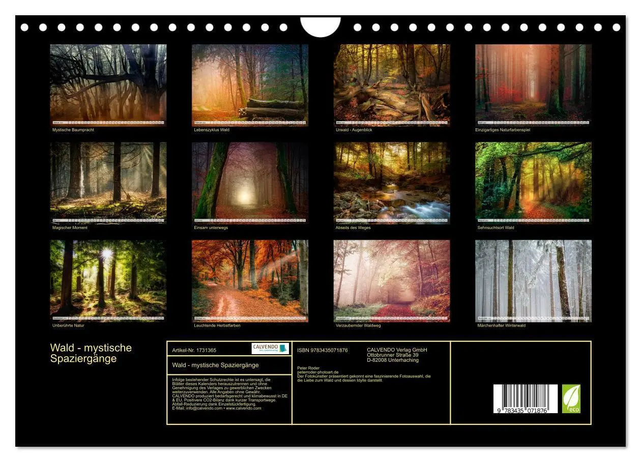 Bild: 9783435071876 | Wald - mystische Spaziergänge (Wandkalender 2025 DIN A4 quer),...