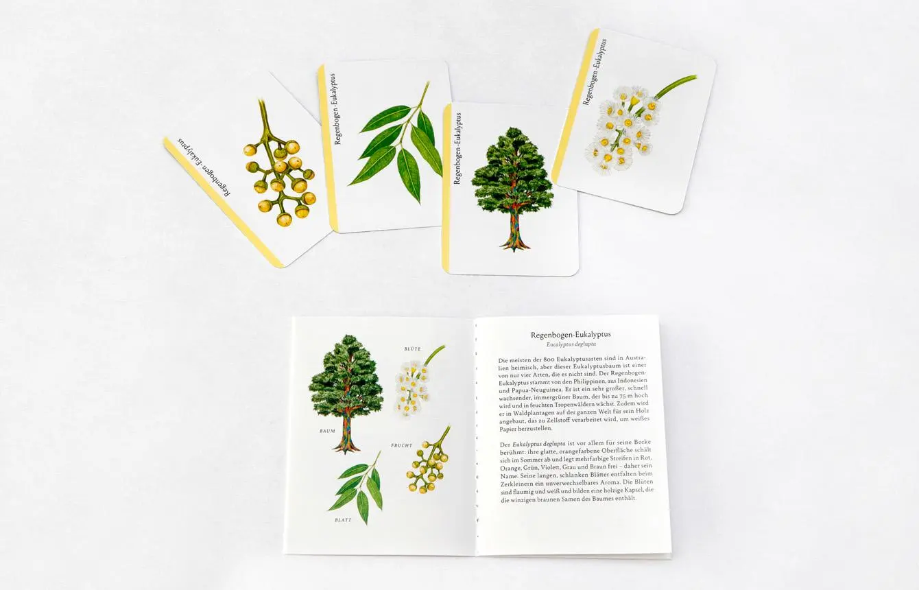 Bild: 9783962441876 | Baum-Familien | Ein botanisches Quartettspiel | Tony Kirkham | Buch