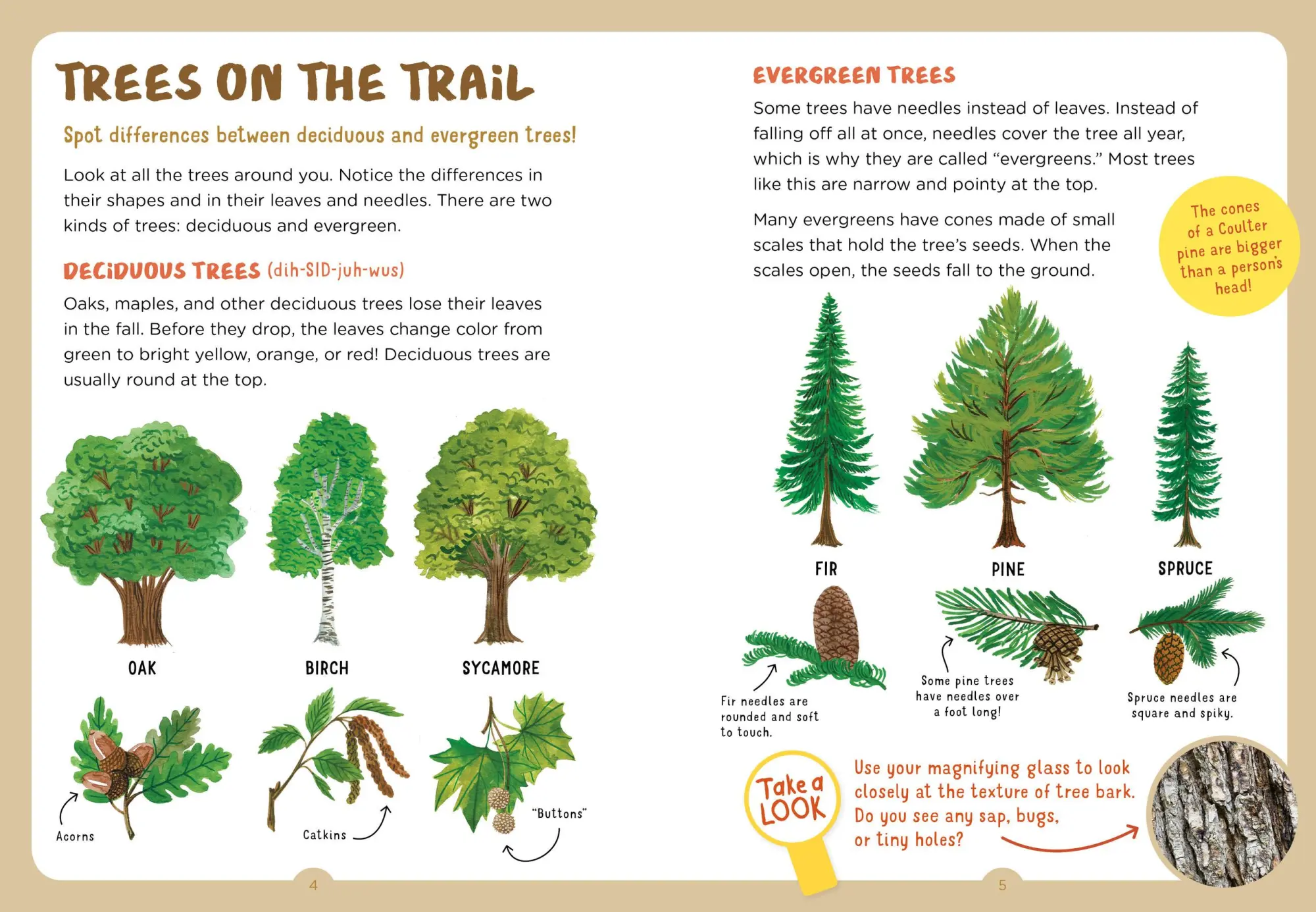 Bild: 9781635861976 | Backpack Explorer: On the Nature Trail | What Will You Find? | Buch