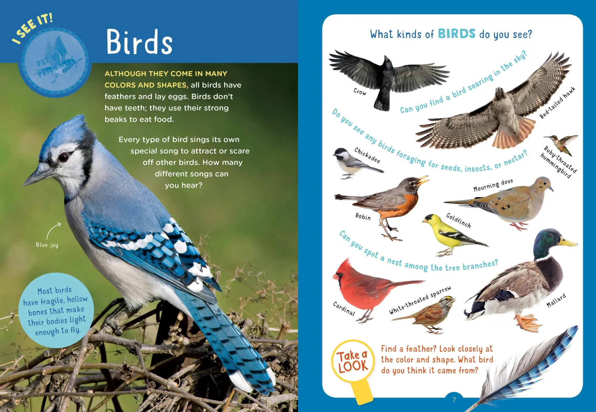 Bild: 9781635861976 | Backpack Explorer: On the Nature Trail | What Will You Find? | Buch