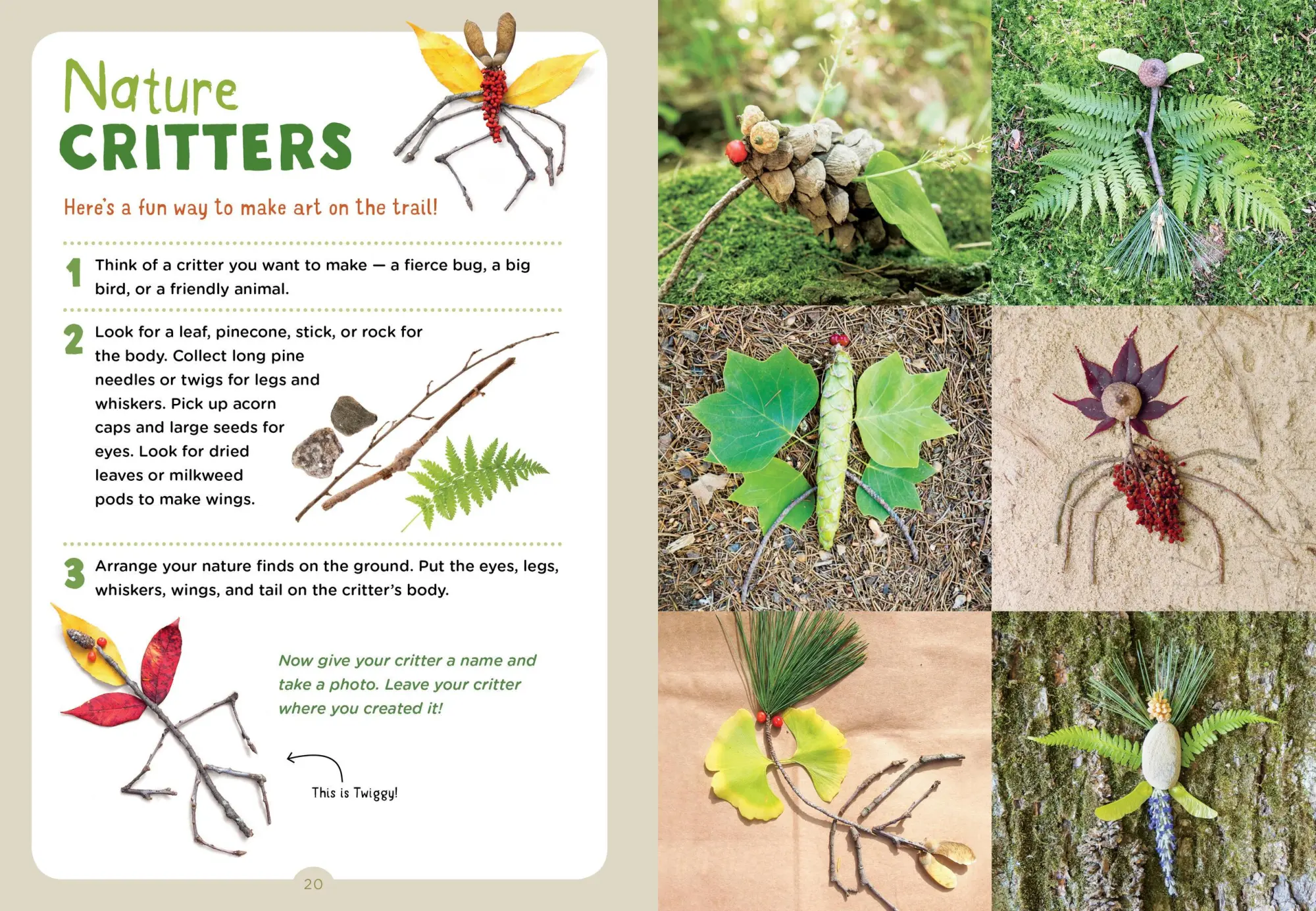 Bild: 9781635861976 | Backpack Explorer: On the Nature Trail | What Will You Find? | Buch