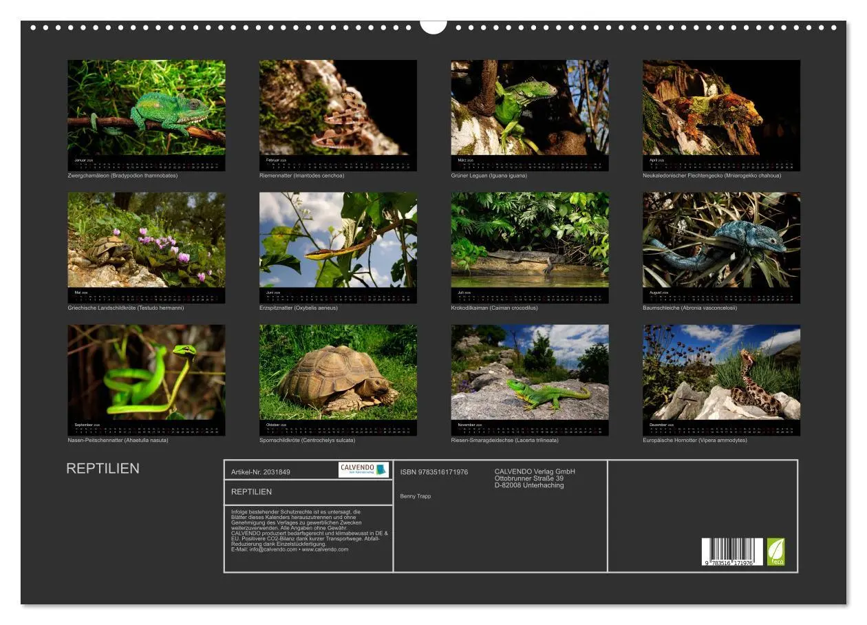 Bild: 9783516171976 | REPTILIEN (Wandkalender 2026 DIN A2 quer), CALVENDO Monatskalender