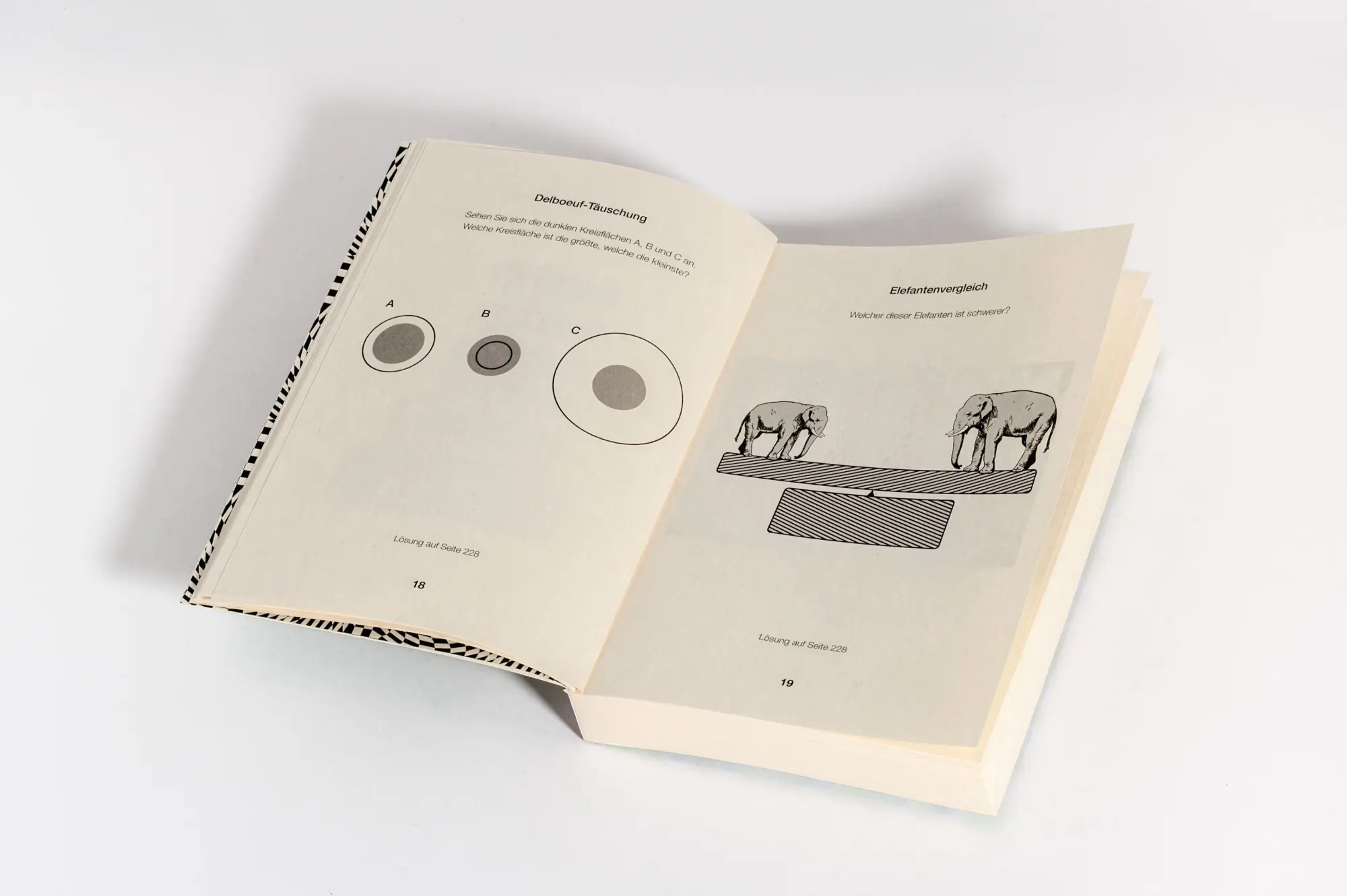 Bild: 9783809451976 | Optische Rätsel - Über 200 Rätsel für Augen und Verstand | Taschenbuch
