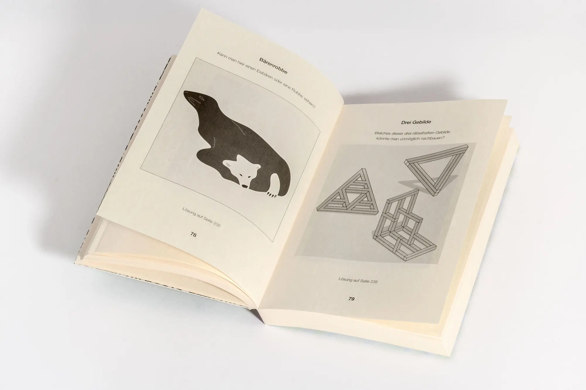 Bild: 9783809451976 | Optische Rätsel - Über 200 Rätsel für Augen und Verstand | Taschenbuch