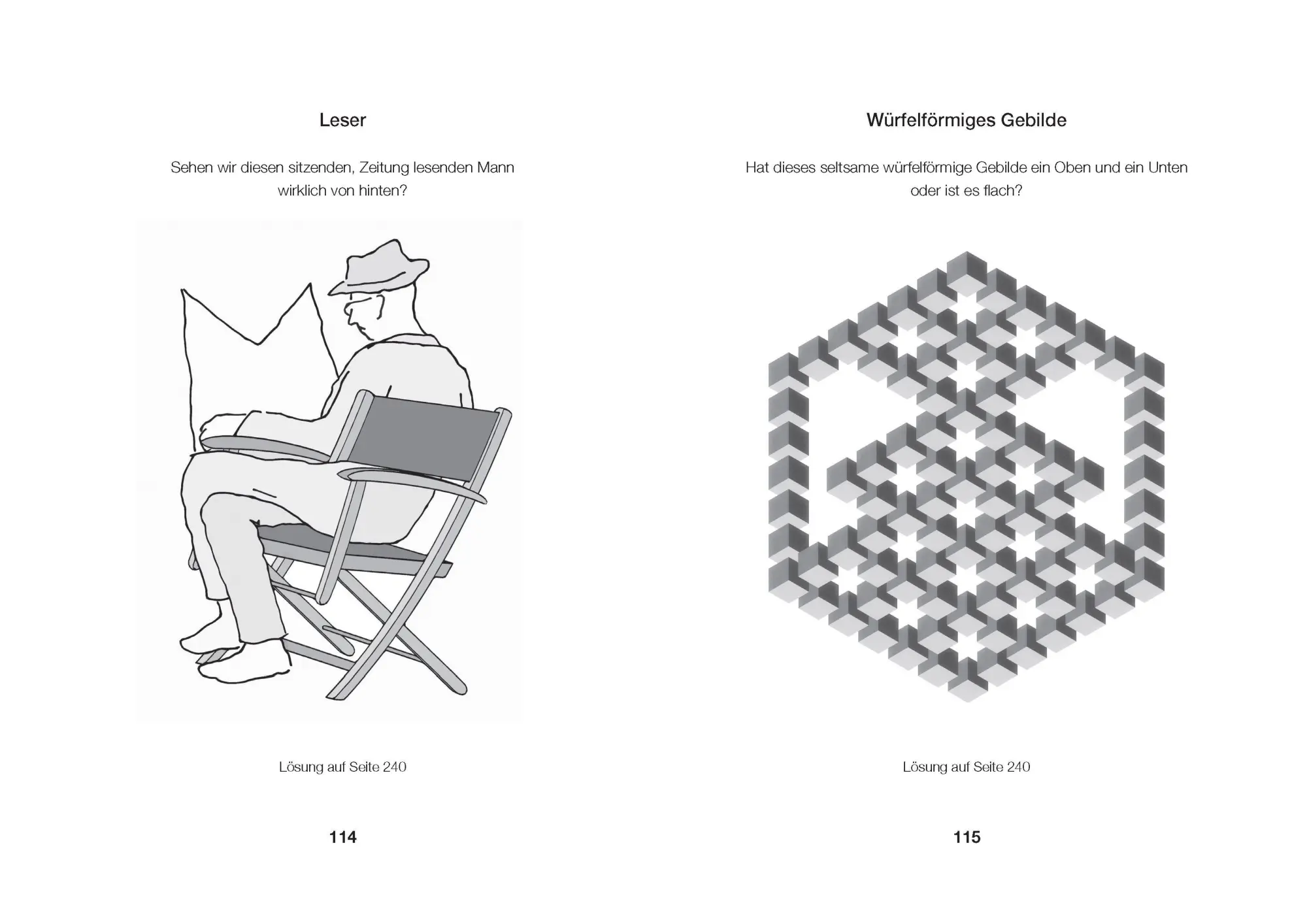 Bild: 9783809451976 | Optische Rätsel - Über 200 Rätsel für Augen und Verstand | Taschenbuch