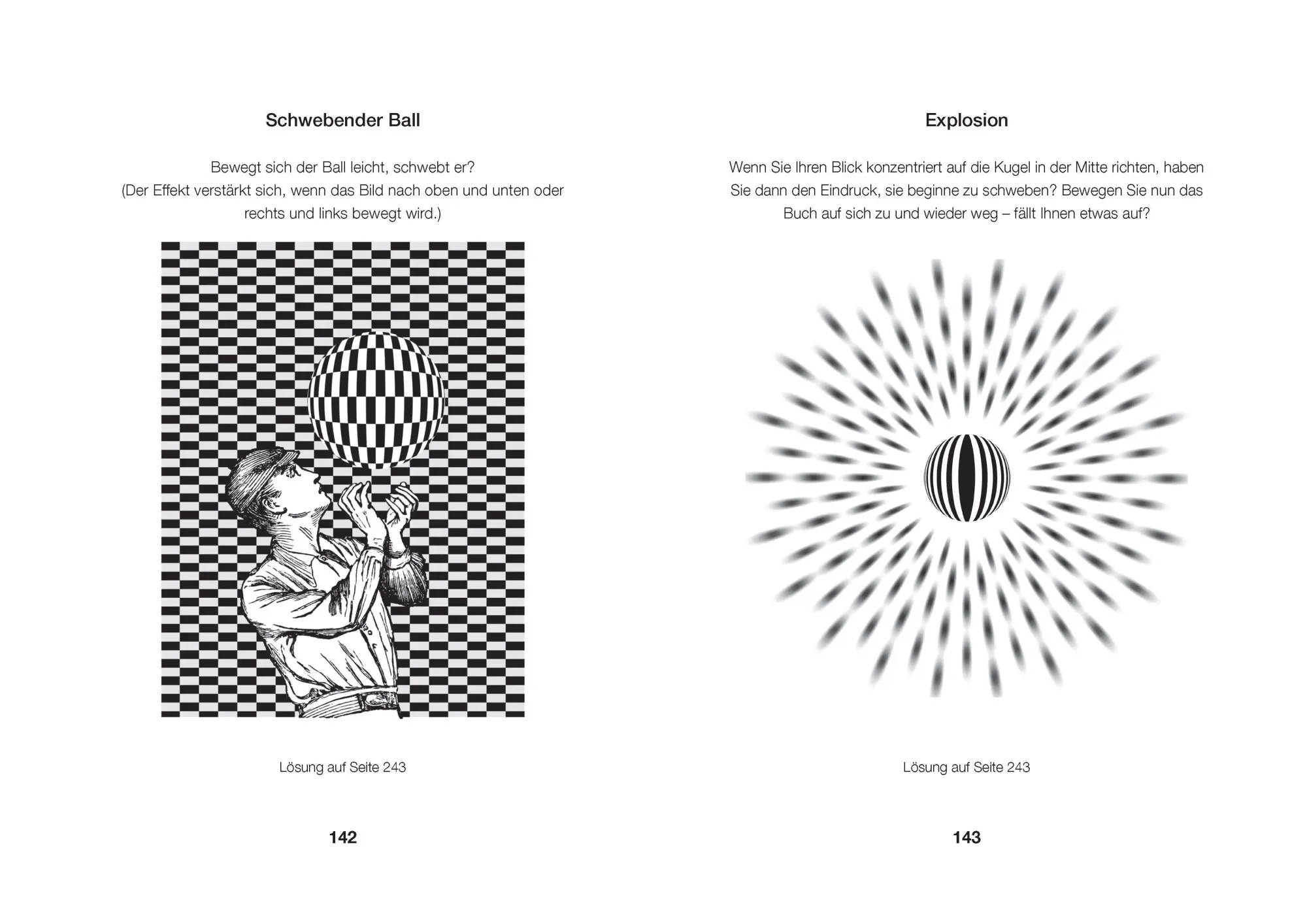 Bild: 9783809451976 | Optische Rätsel - Über 200 Rätsel für Augen und Verstand | Taschenbuch