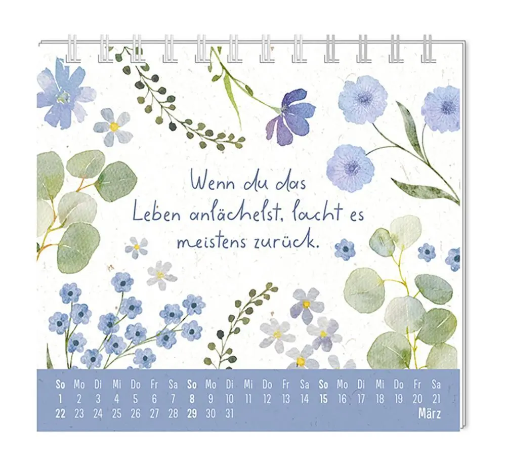 Bild: 9783986361976 | Mini-Kalender 2026 Du bist wundervoll | Mini-Kalender | Original