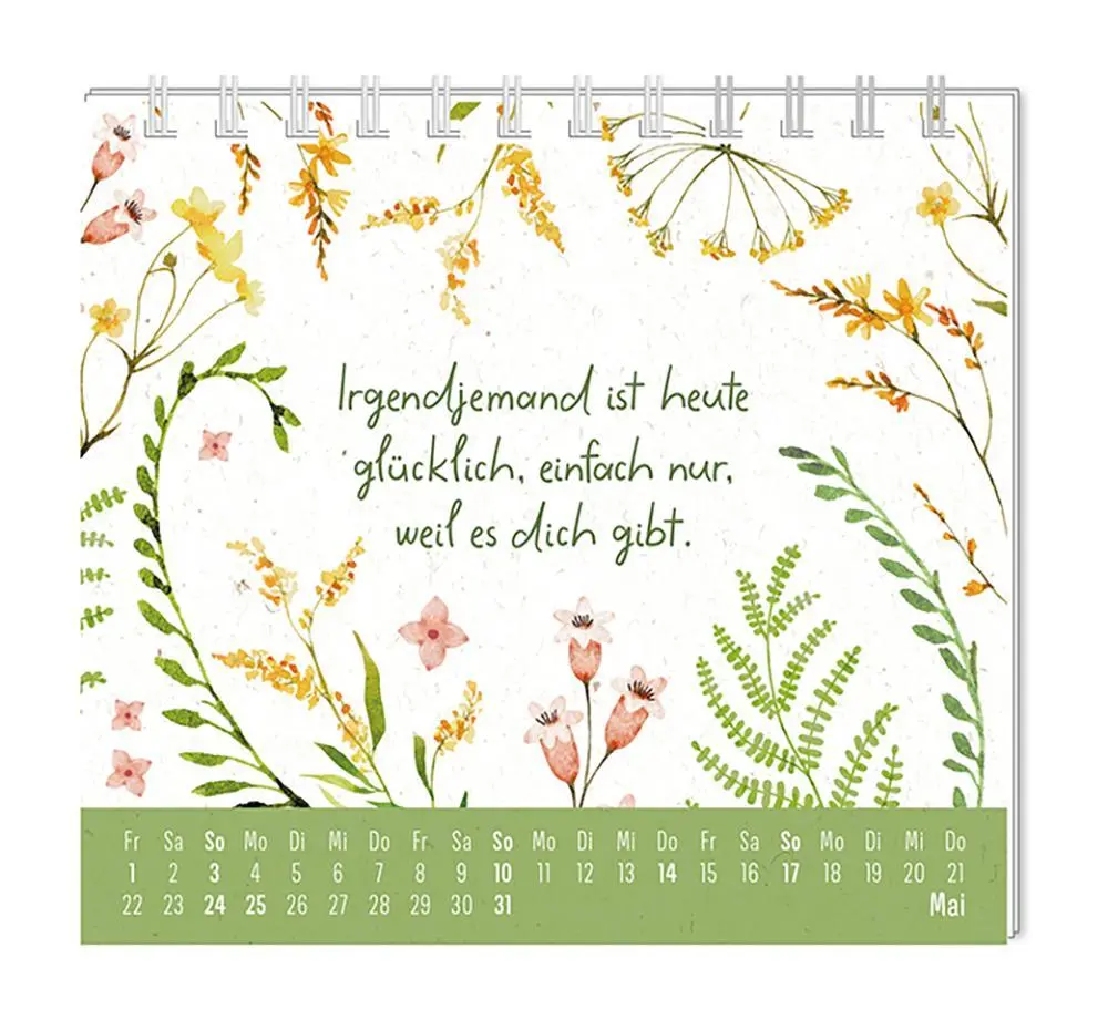 Bild: 9783986361976 | Mini-Kalender 2026 Du bist wundervoll | Mini-Kalender | Original