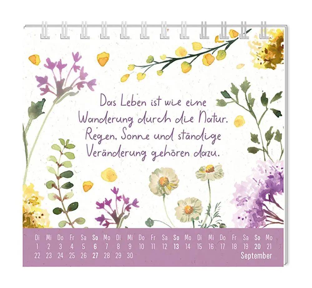 Bild: 9783986361976 | Mini-Kalender 2026 Du bist wundervoll | Mini-Kalender | Original