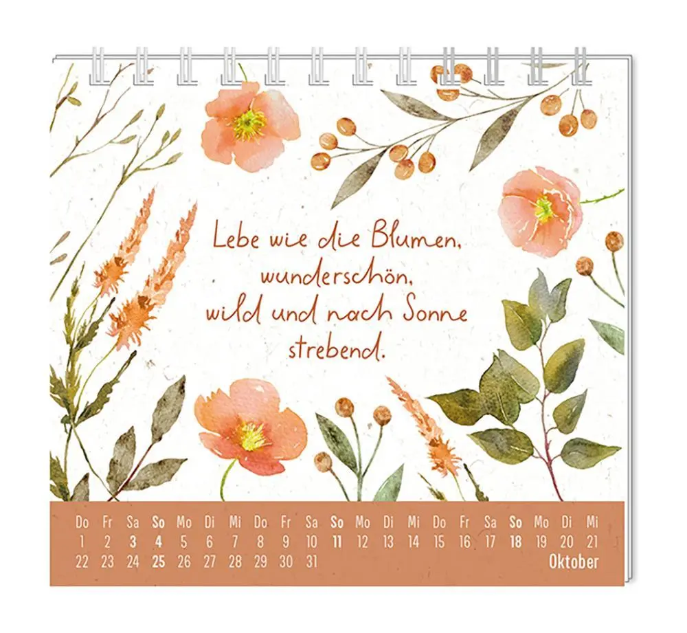 Bild: 9783986361976 | Mini-Kalender 2026 Du bist wundervoll | Mini-Kalender | Original