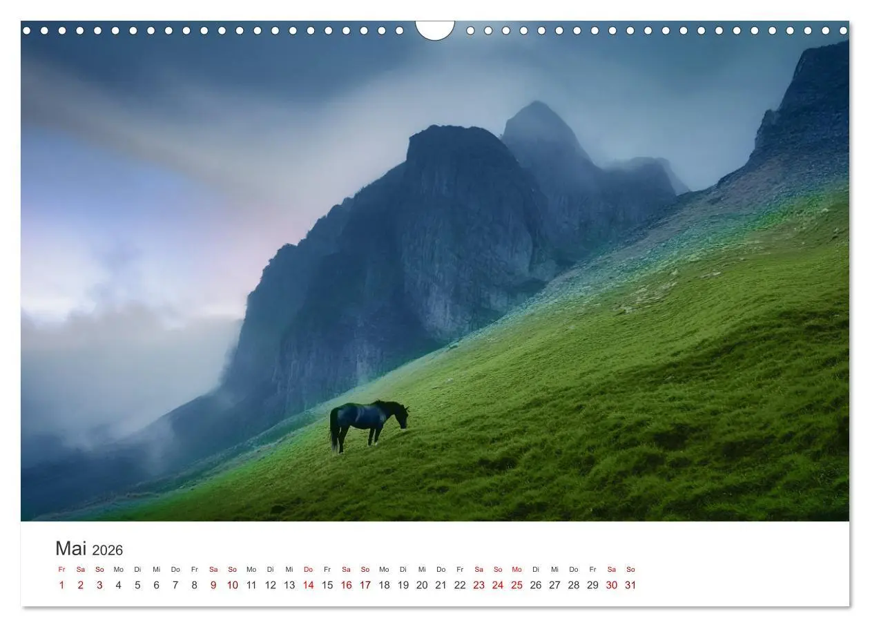 Bild: 9783457282076 | Im Wind der Freiheit - Ein Jahr voller Pferde (Wandkalender 2026...