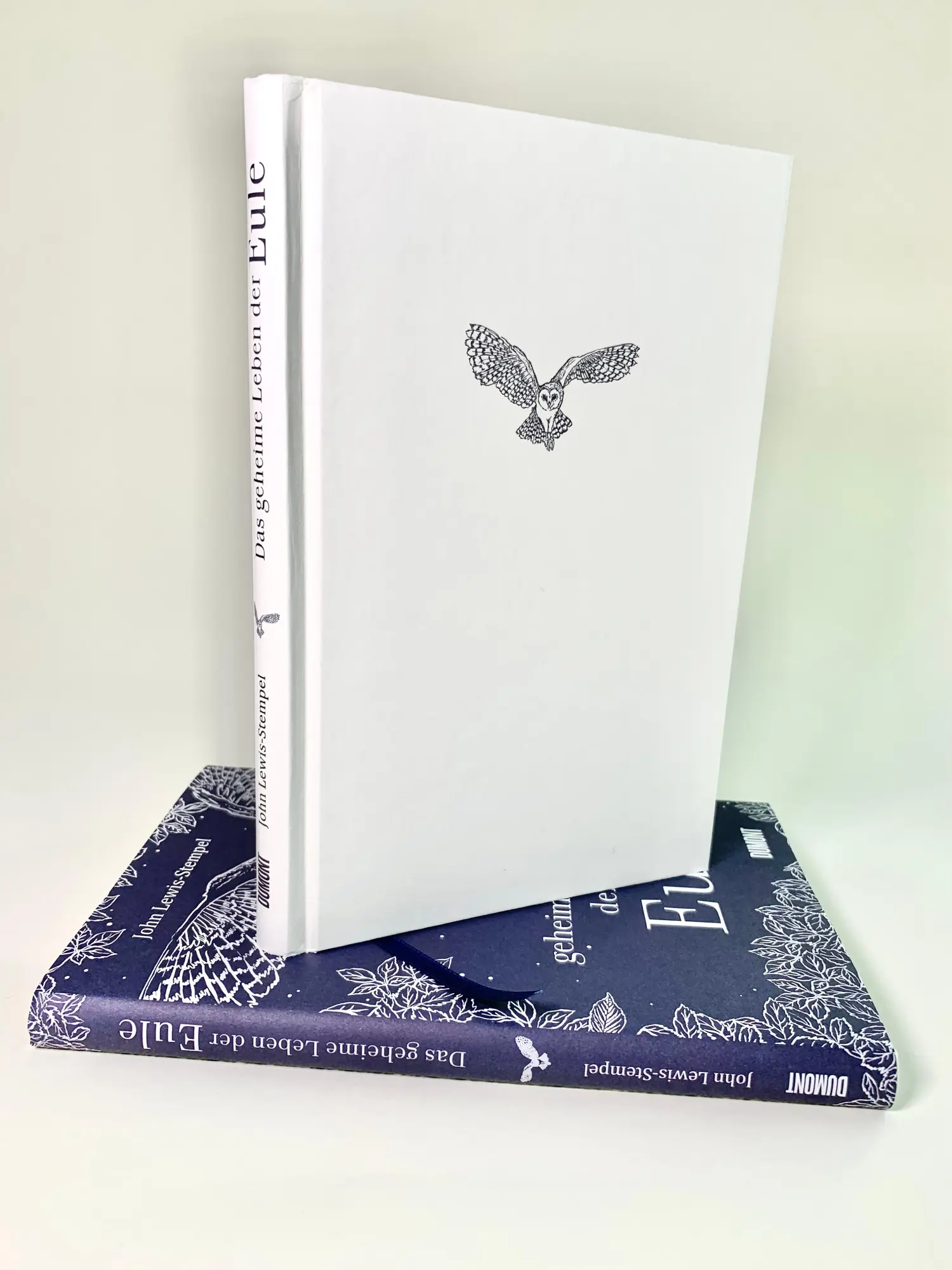 Bild: 9783832182076 | Das geheime Leben der Eule | John Lewis-Stempel | Buch | 112 S. | 2022