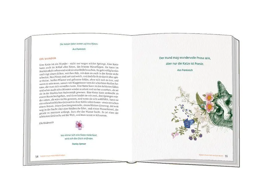 Bild: 9783987002076 | Versuche, nie mehr als drei Dinge gleichzeitig zu tun | Buch | 64 S.
