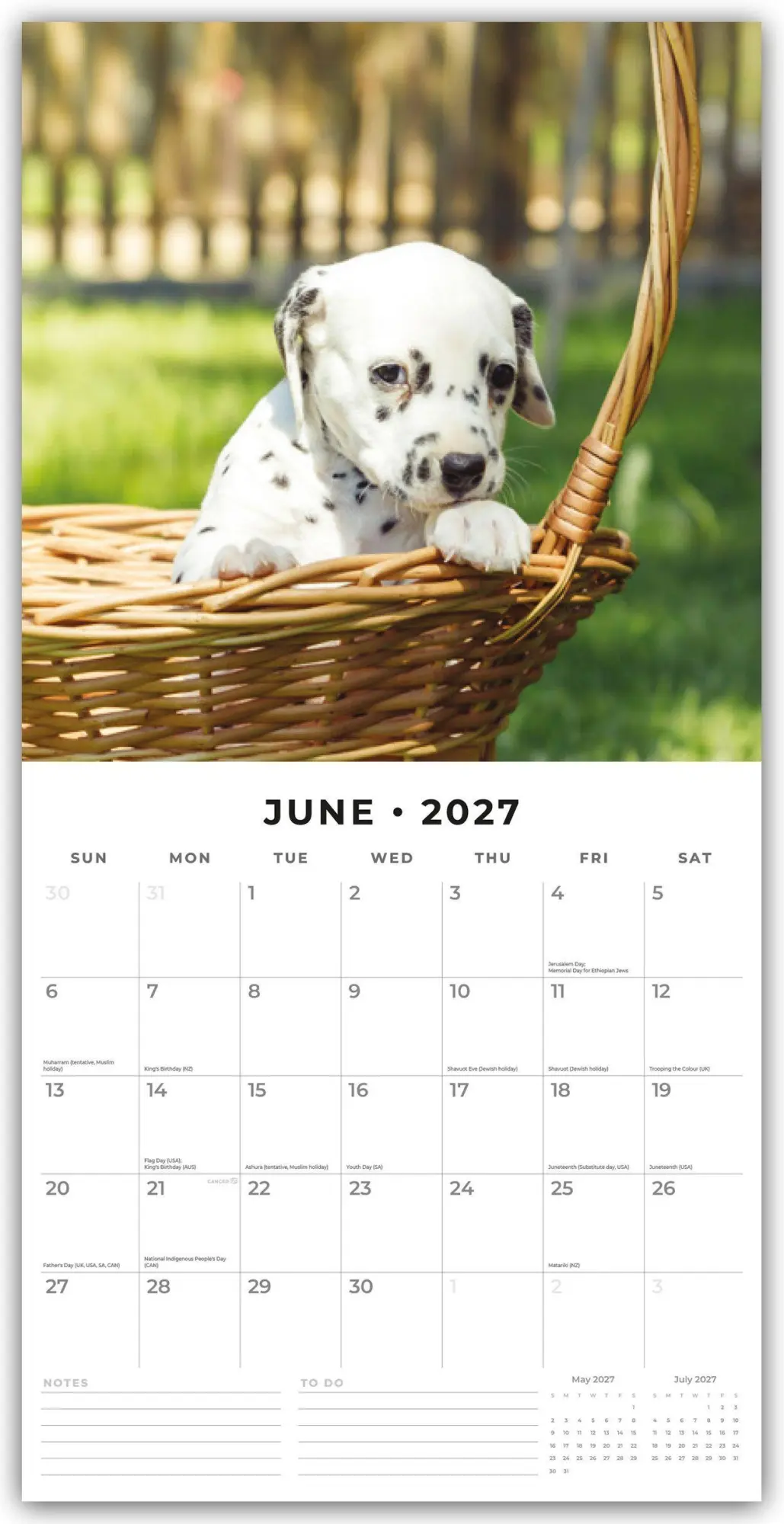 Bild: 9781837012176 | Dalmatian Puppies - Dalmatiner Welpen 2027 - 16-Monatskalender | Red