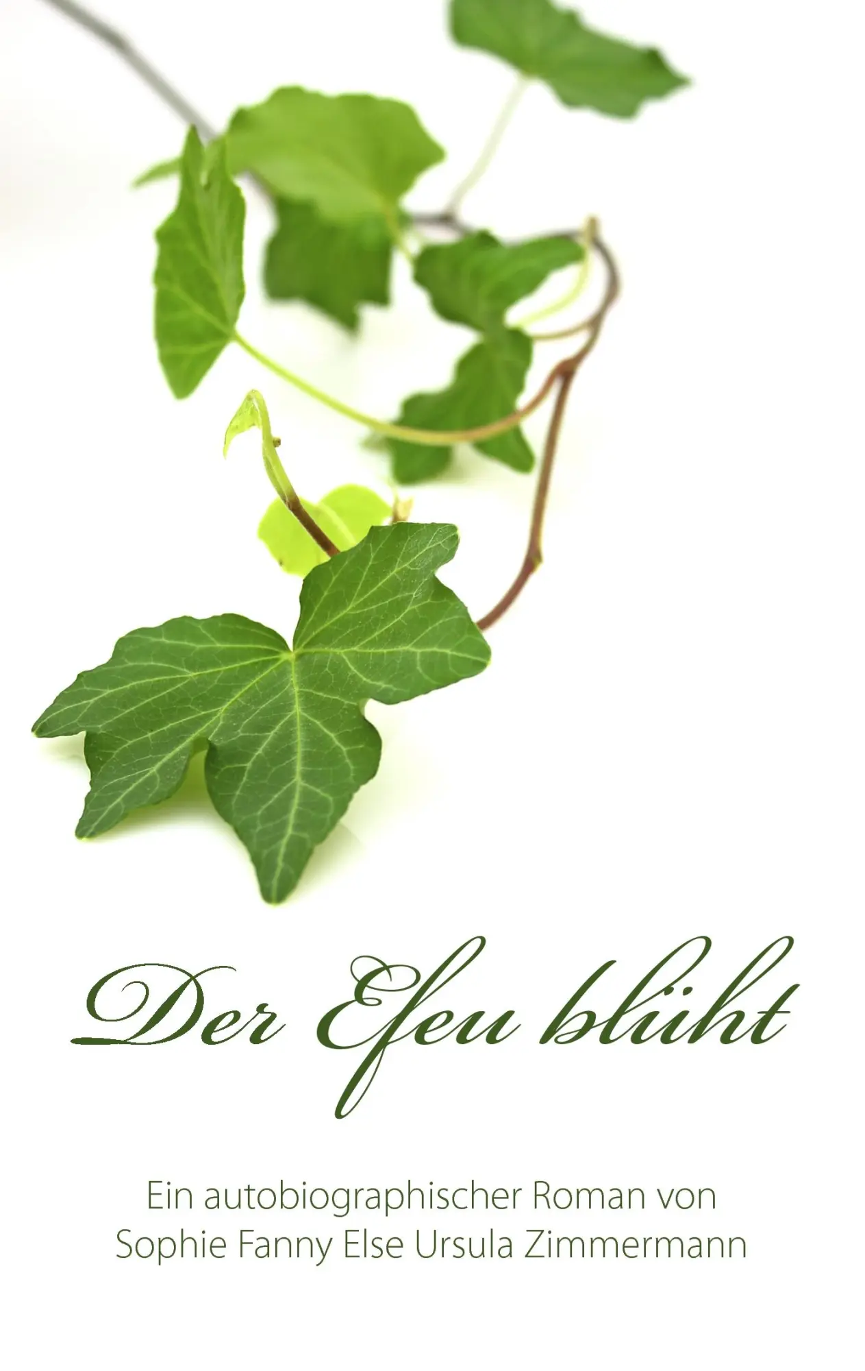 Cover: 9783839102176 | Der Efeu blueht | Ursula Zimmermann | Taschenbuch | 160 S. | Deutsch