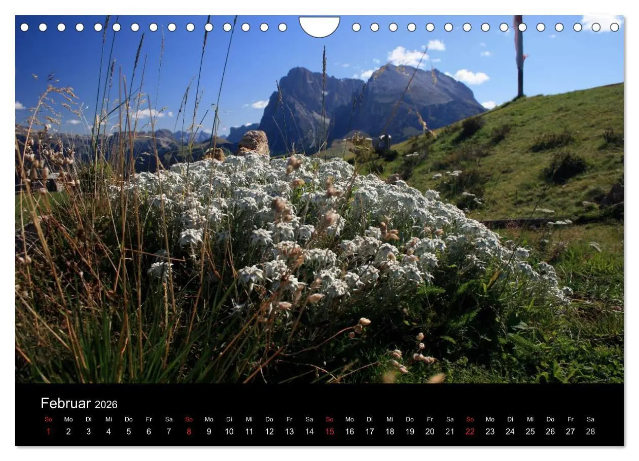 Bild: 9783457952276 | Alpe di Siusi - Seiser Alm (Wandkalender 2026 DIN A4 quer),...