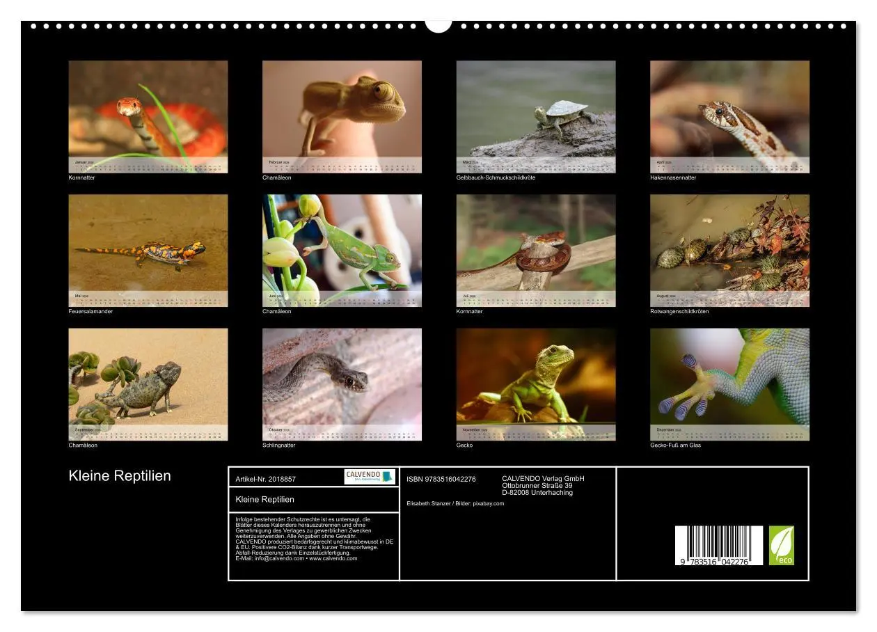 Bild: 9783516042276 | Kleine Reptilien (hochwertiger Premium Wandkalender 2026 DIN A2...