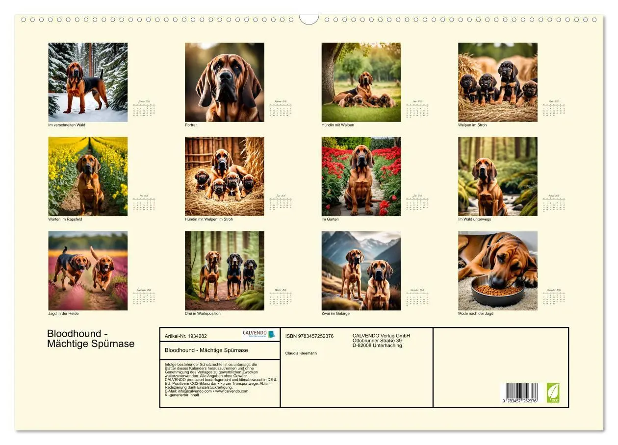 Bild: 9783457252376 | Bloodhound - Mächtige Spürnase (Wandkalender 2026 DIN A2 quer),...