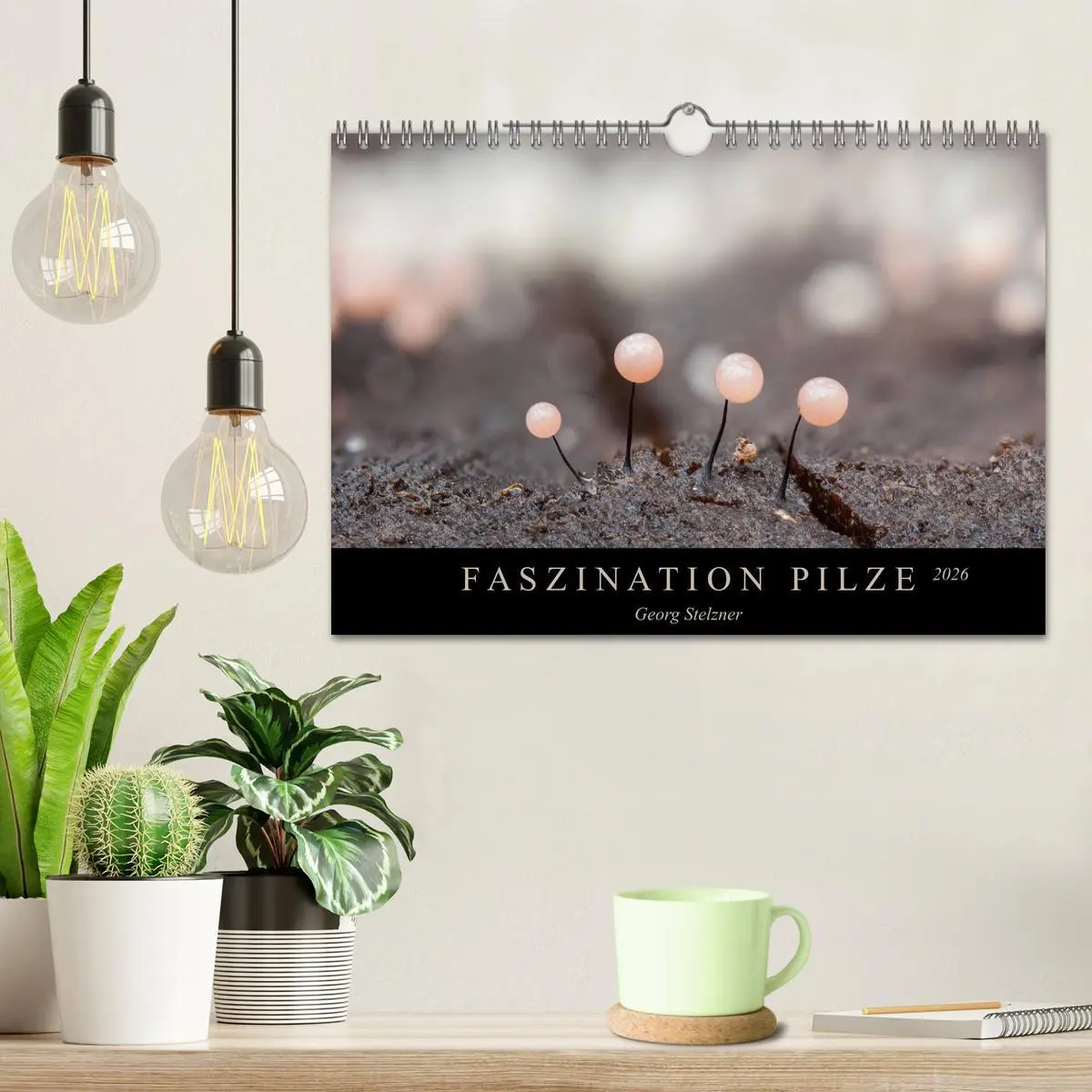 Bild: 9783457872376 | FASZINATION PILZE 2026 (Wandkalender 2026 DIN A4 quer), CALVENDO...