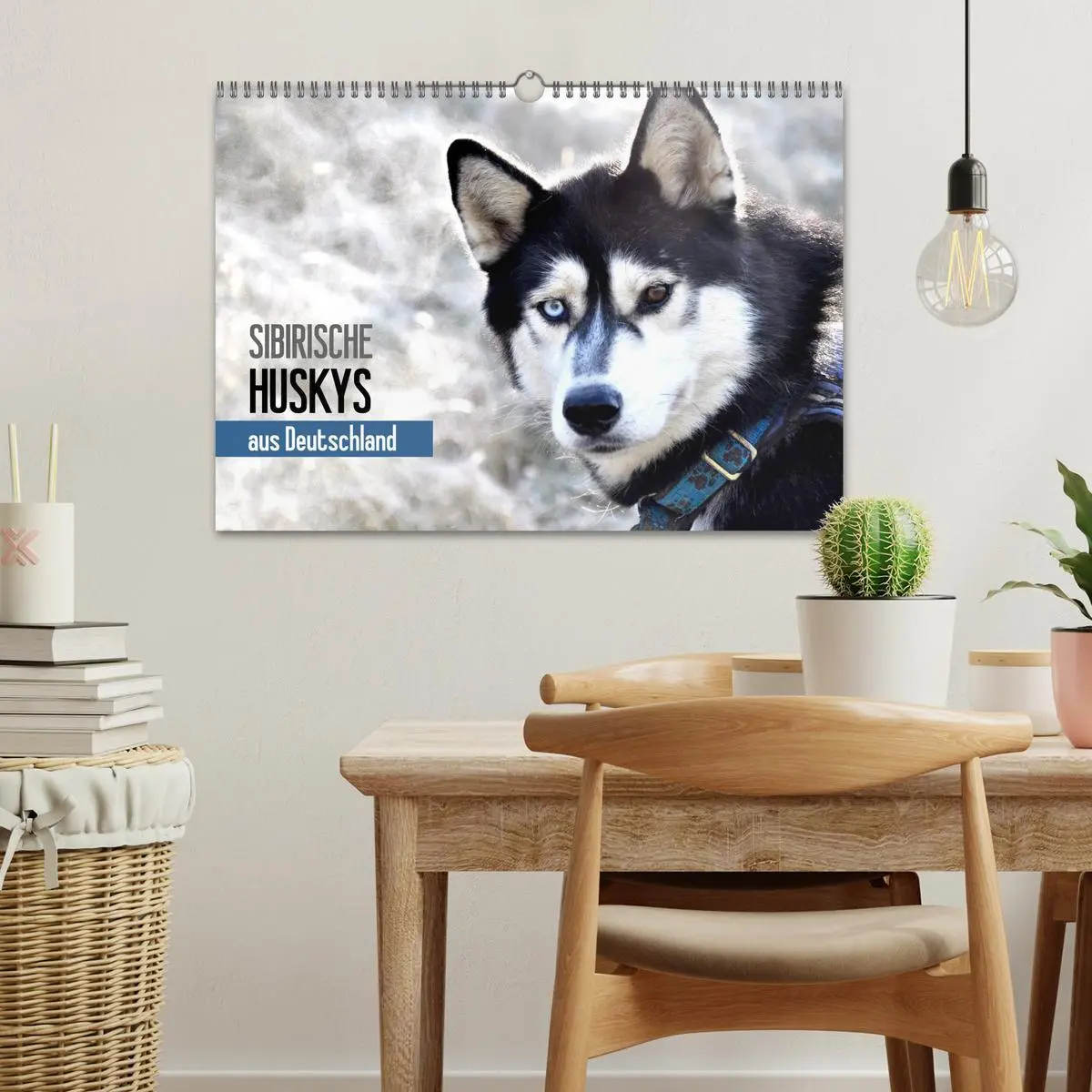 Bild: 9783516102376 | Sibirische Huskys aus Deutschland (Wandkalender 2026 DIN A3 quer),...