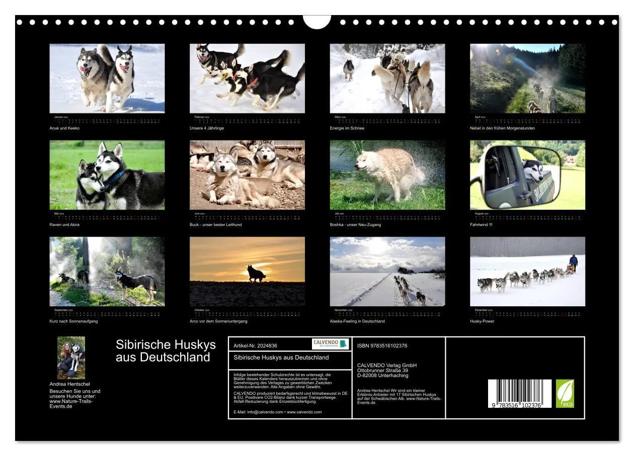 Bild: 9783516102376 | Sibirische Huskys aus Deutschland (Wandkalender 2026 DIN A3 quer),...