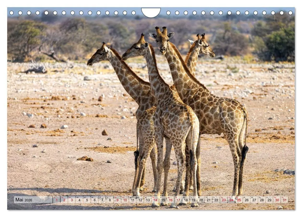 Bild: 9783516722376 | Namibia - Simbabwe - Botswana Leben zwischen Wüste und Wildnis...