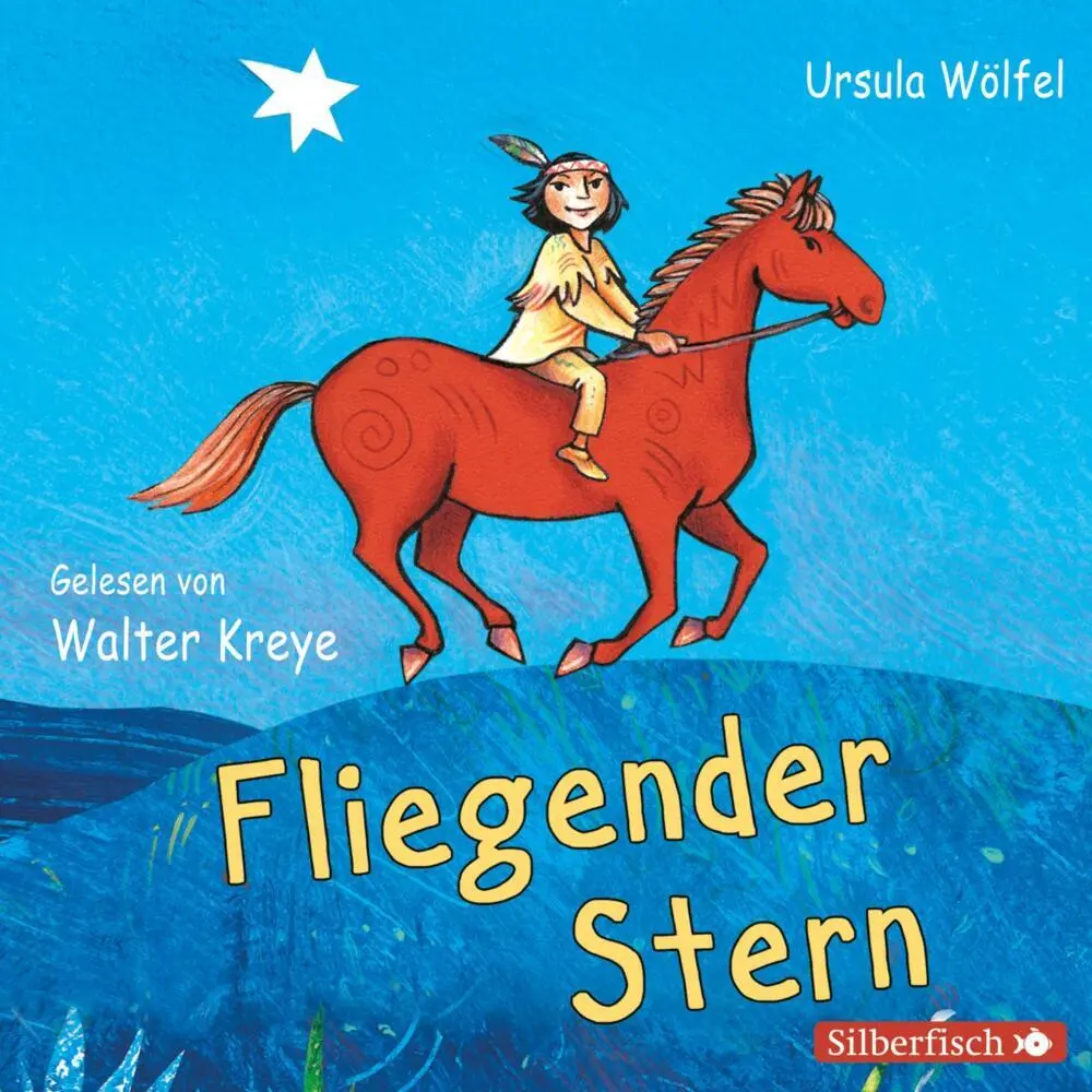 Cover: 9783867422376 | Fliegender Stern,2 Audio-CD | Ursula Wölfel | Audio-CD | Jewelcase