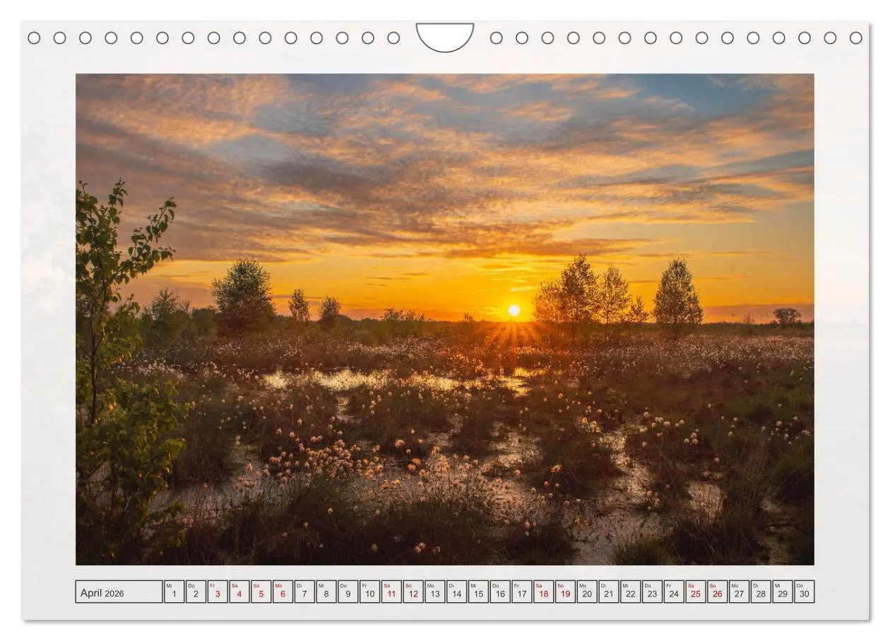 Bild: 9783457312476 | Naturpark Dümmer (Wandkalender 2026 DIN A4 quer), CALVENDO...