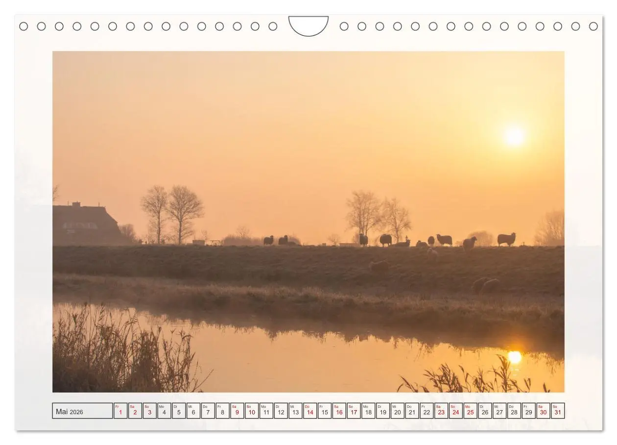 Bild: 9783457312476 | Naturpark Dümmer (Wandkalender 2026 DIN A4 quer), CALVENDO...