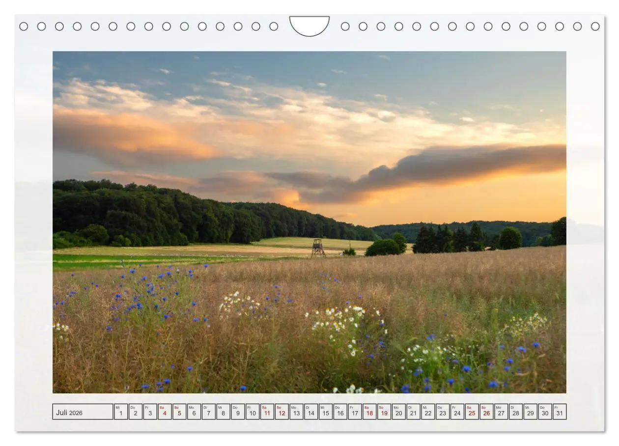 Bild: 9783457312476 | Naturpark Dümmer (Wandkalender 2026 DIN A4 quer), CALVENDO...