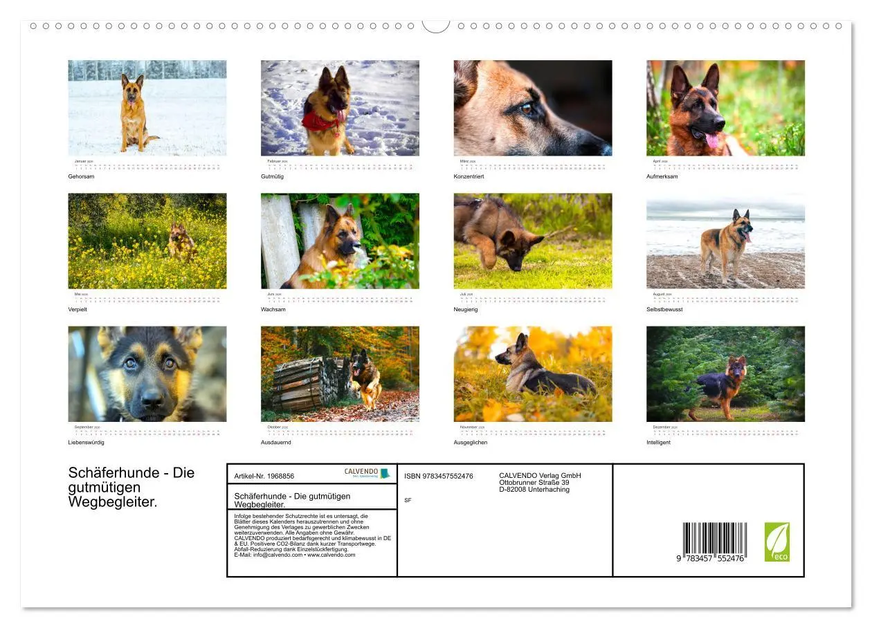 Bild: 9783457552476 | Schäferhunde - Die gutmütigen Wegbegleiter. (hochwertiger Premium...