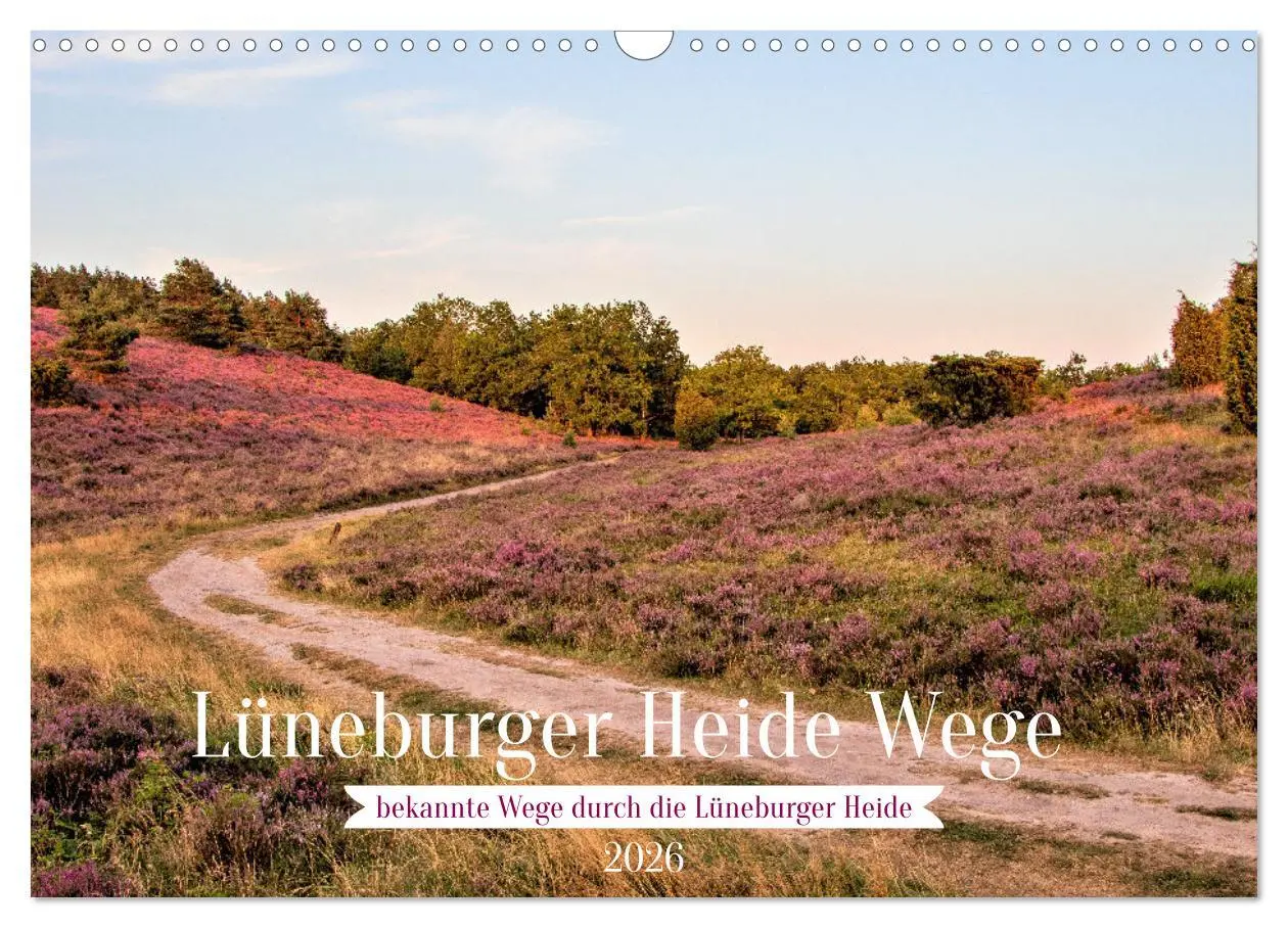 Cover: 9783457622476 | Lüneburger Heide Wege (Wandkalender 2026 DIN A3 quer), CALVENDO...