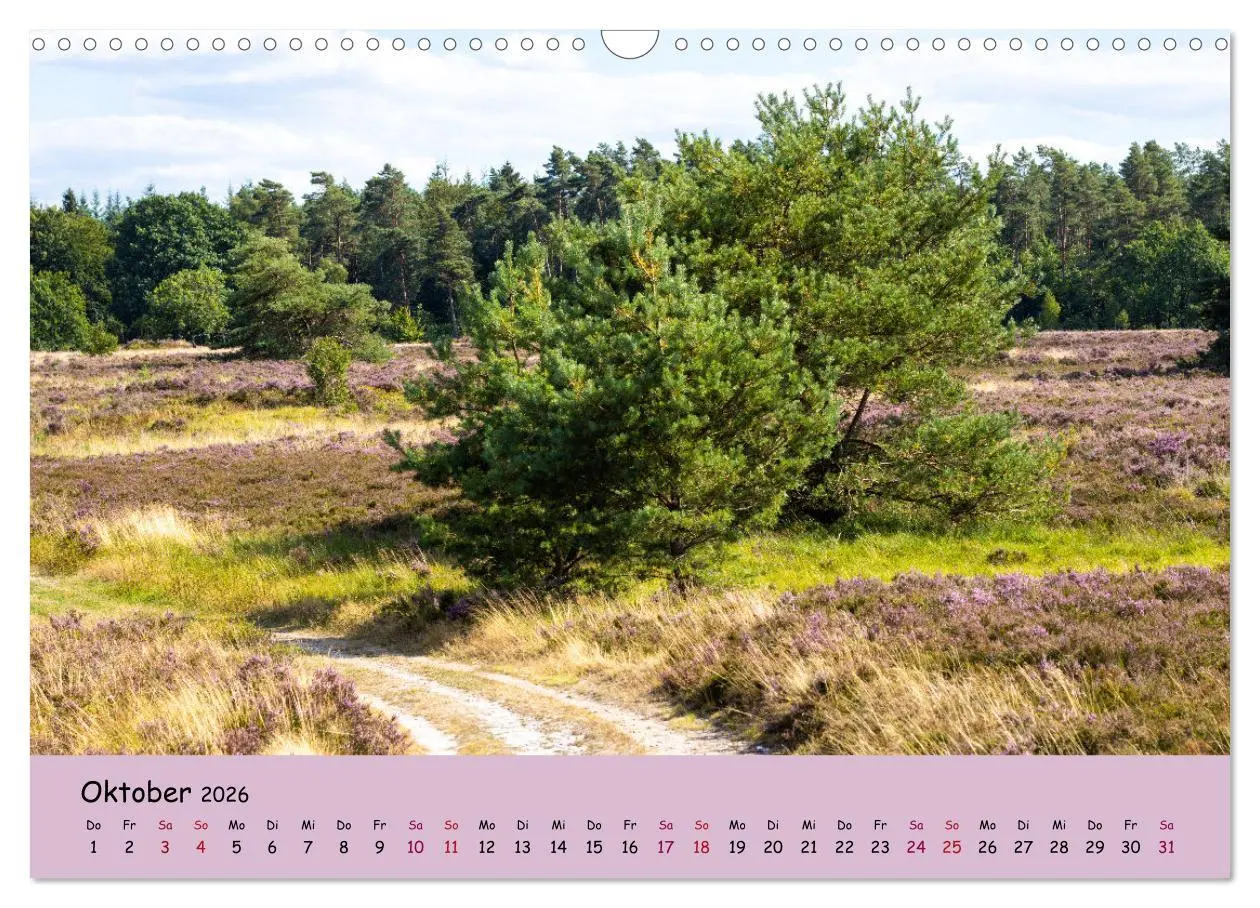 Bild: 9783457622476 | Lüneburger Heide Wege (Wandkalender 2026 DIN A3 quer), CALVENDO...