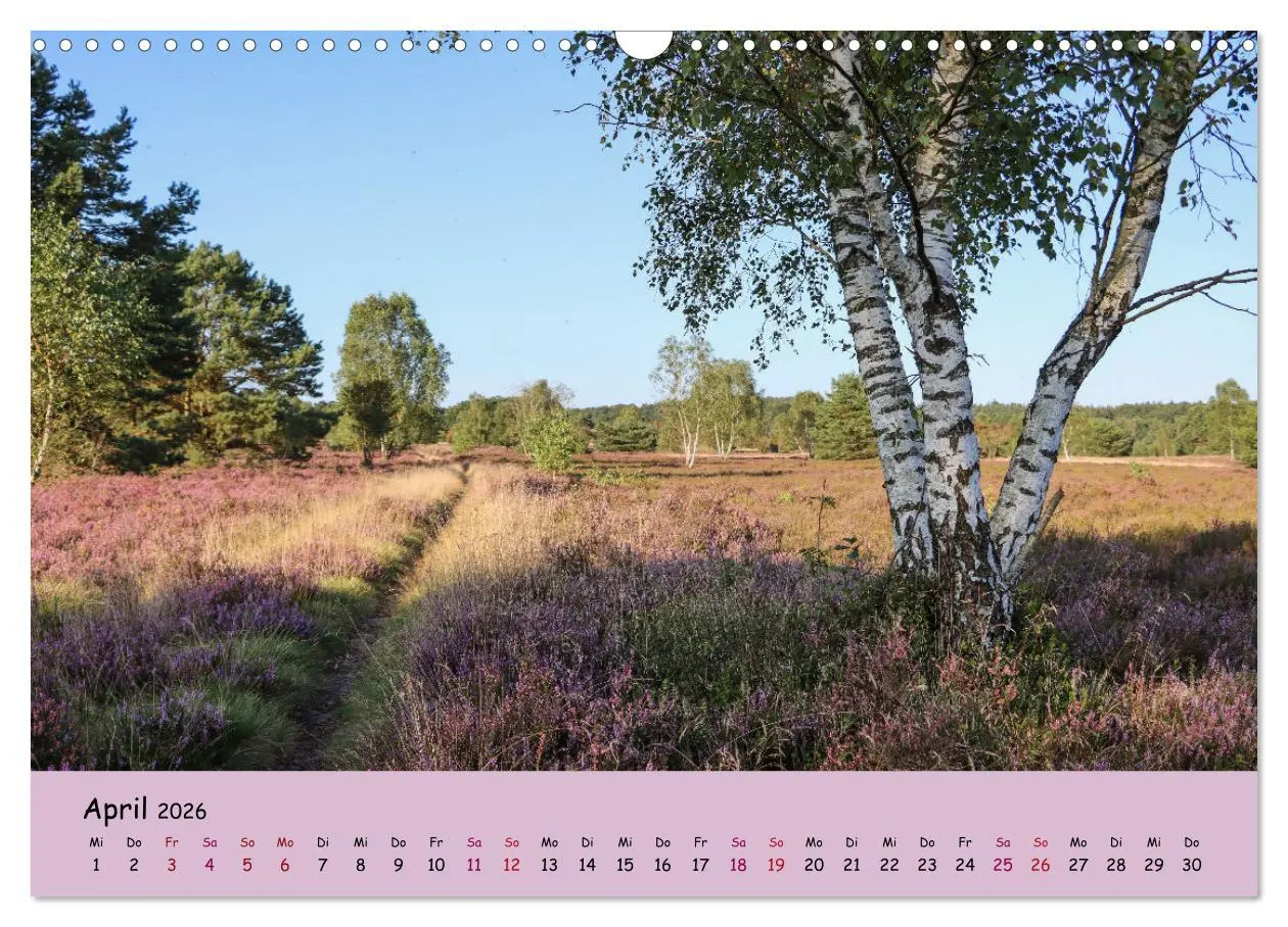 Bild: 9783457622476 | Lüneburger Heide Wege (Wandkalender 2026 DIN A3 quer), CALVENDO...