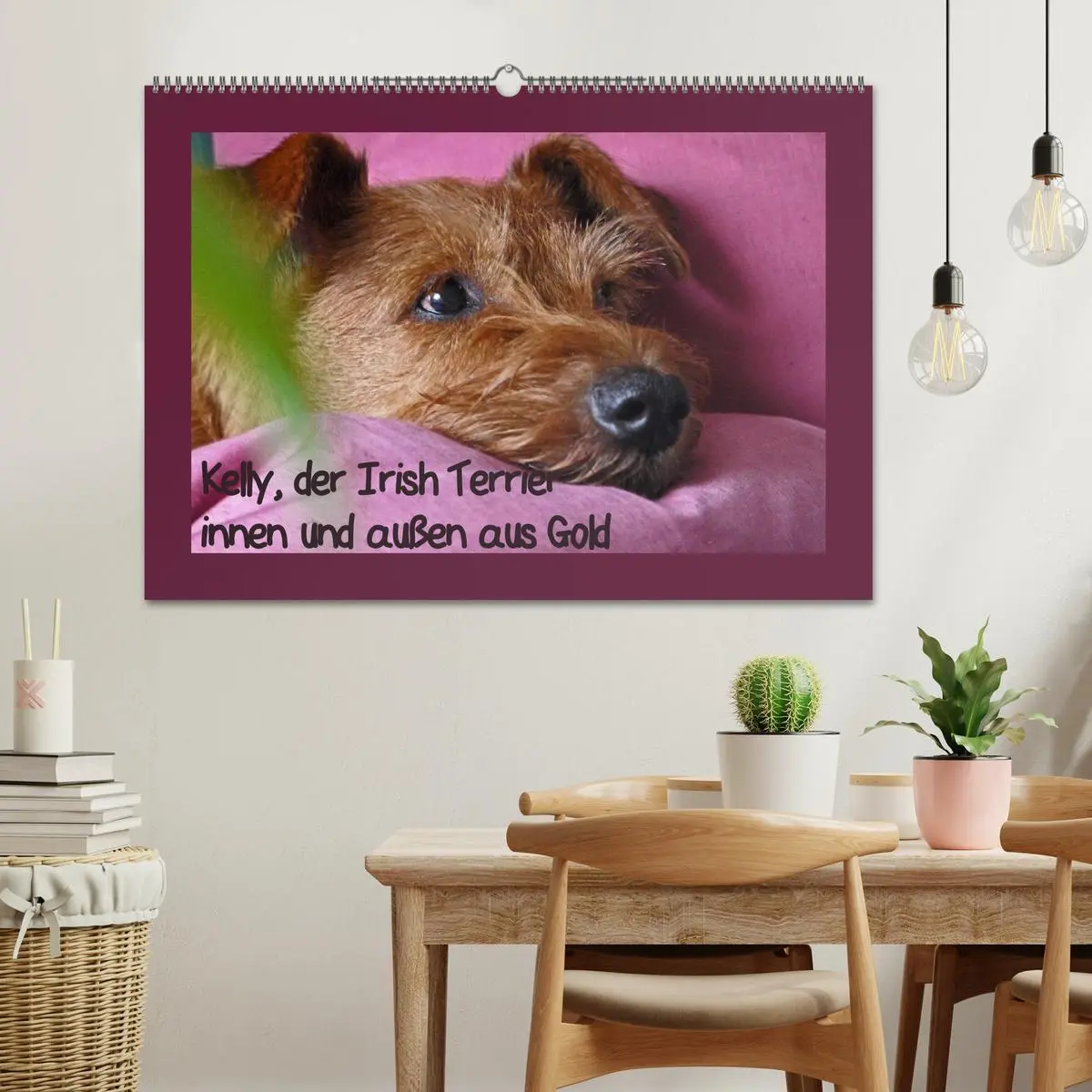 Bild: 9783457932476 | Kelly, der Irish Terrier - innen und außen aus Gold (Wandkalender...